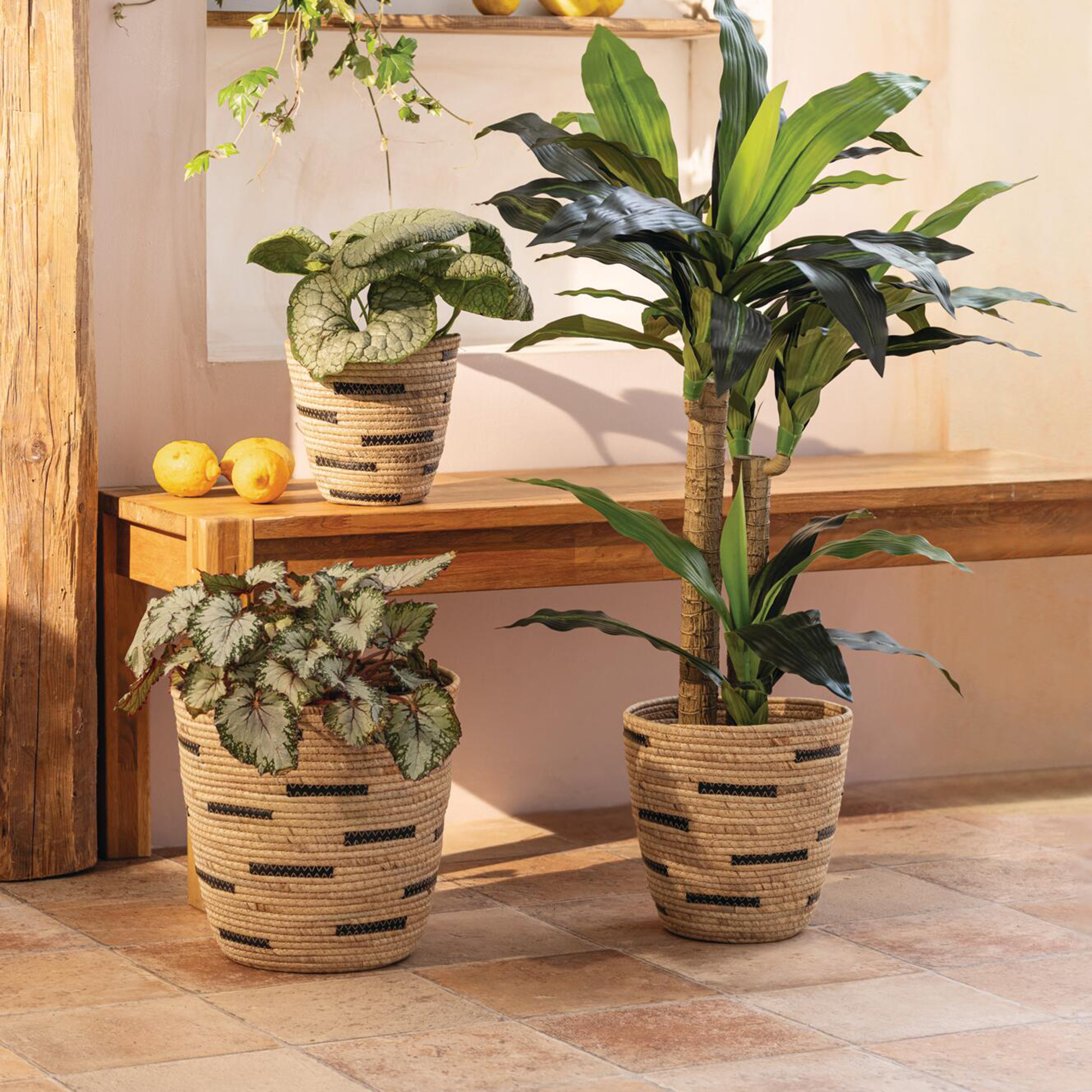 Füllkorb "Adria", 3er Set  im Frank Flechtwaren Online Shop für Gerade eingetroffen kaufen