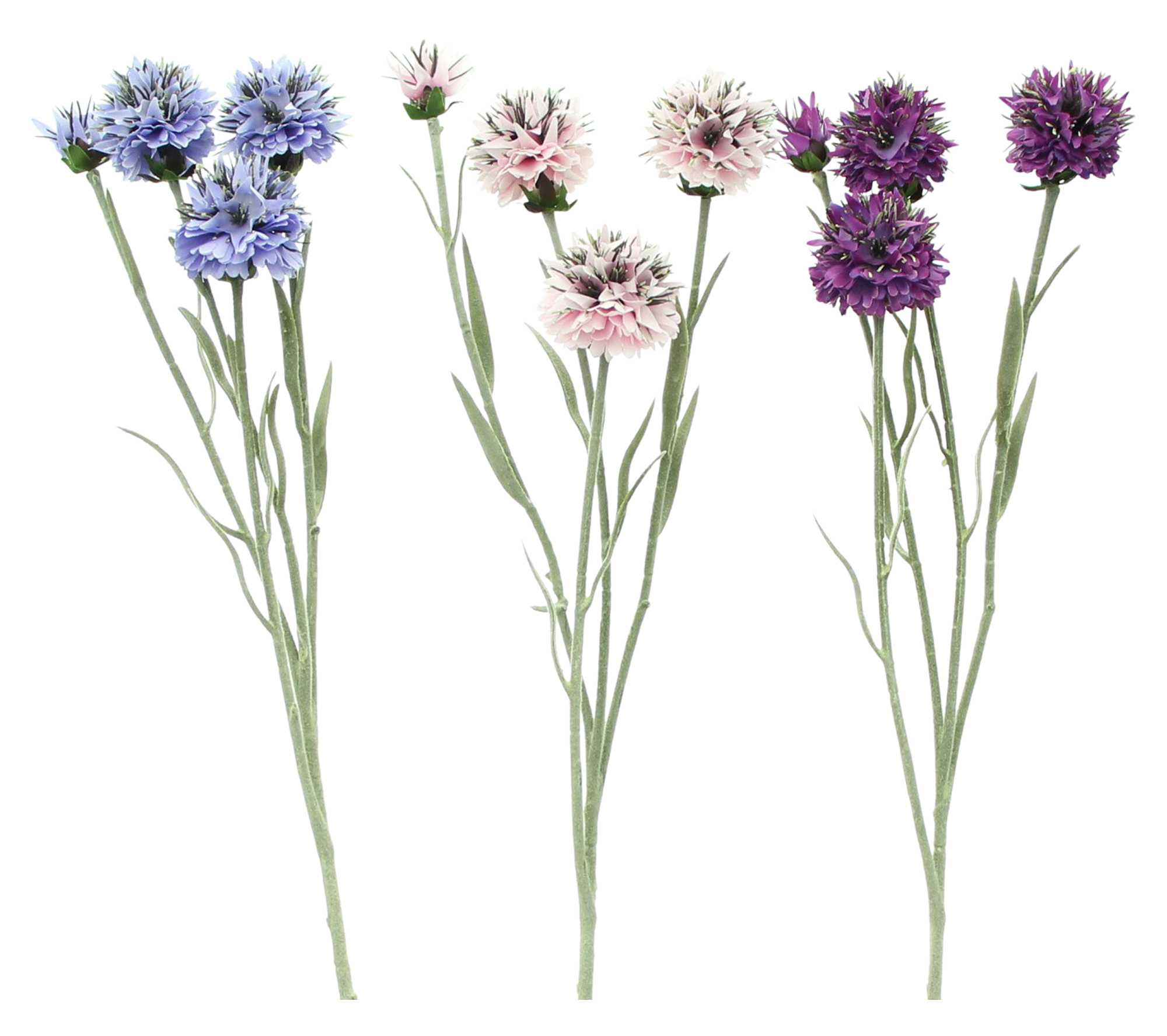 Kunstblume "Kugeldistel", 3er Set im Frank Flechtwaren Online Shop für Kunstpflanzen kaufen Kunstblume "Kugeldistel", 3er Set im Frank Flechtwaren Online Shop für Kunstpflanzen kaufen