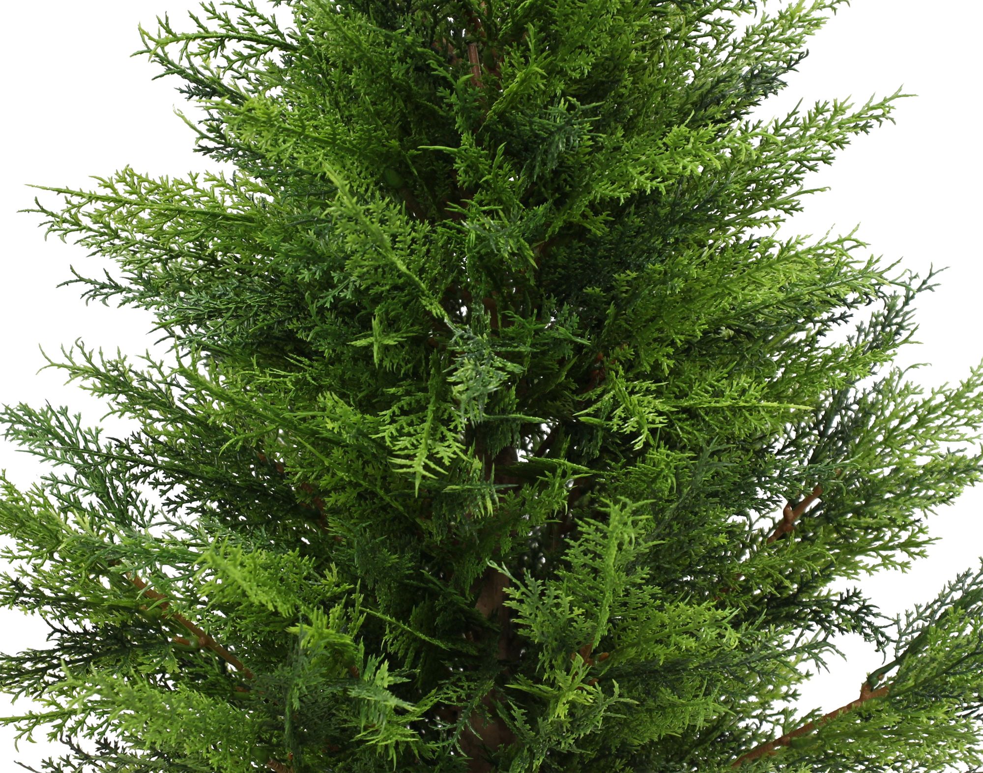 Kunstpflanze "Konifere"  im Frank Flechtwaren Online Shop für Kunstpflanzen kaufen