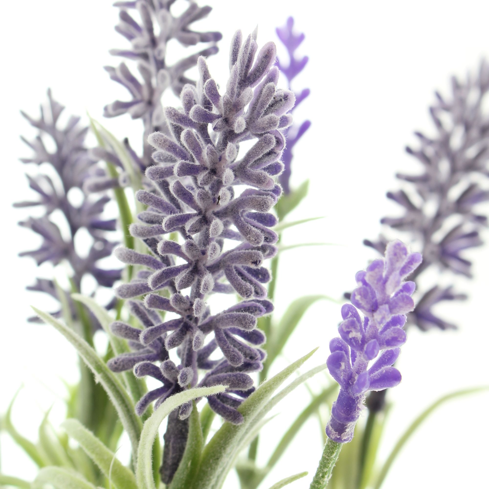 Lavendel im Topf im Frank Flechtwaren Online Shop für Kunstpflanzen kaufen Lavendel im Topf im Frank Flechtwaren Online Shop für Kunstpflanzen kaufen