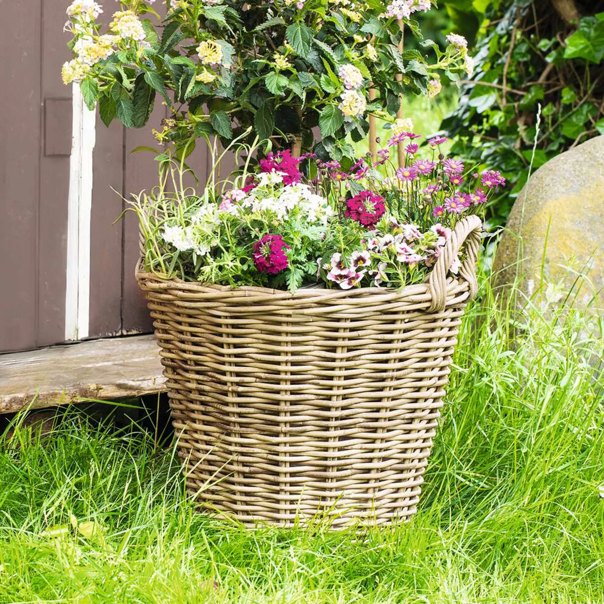 Pflanzkorb "Rattan", maxi  im Frank Flechtwaren Online Shop kaufen