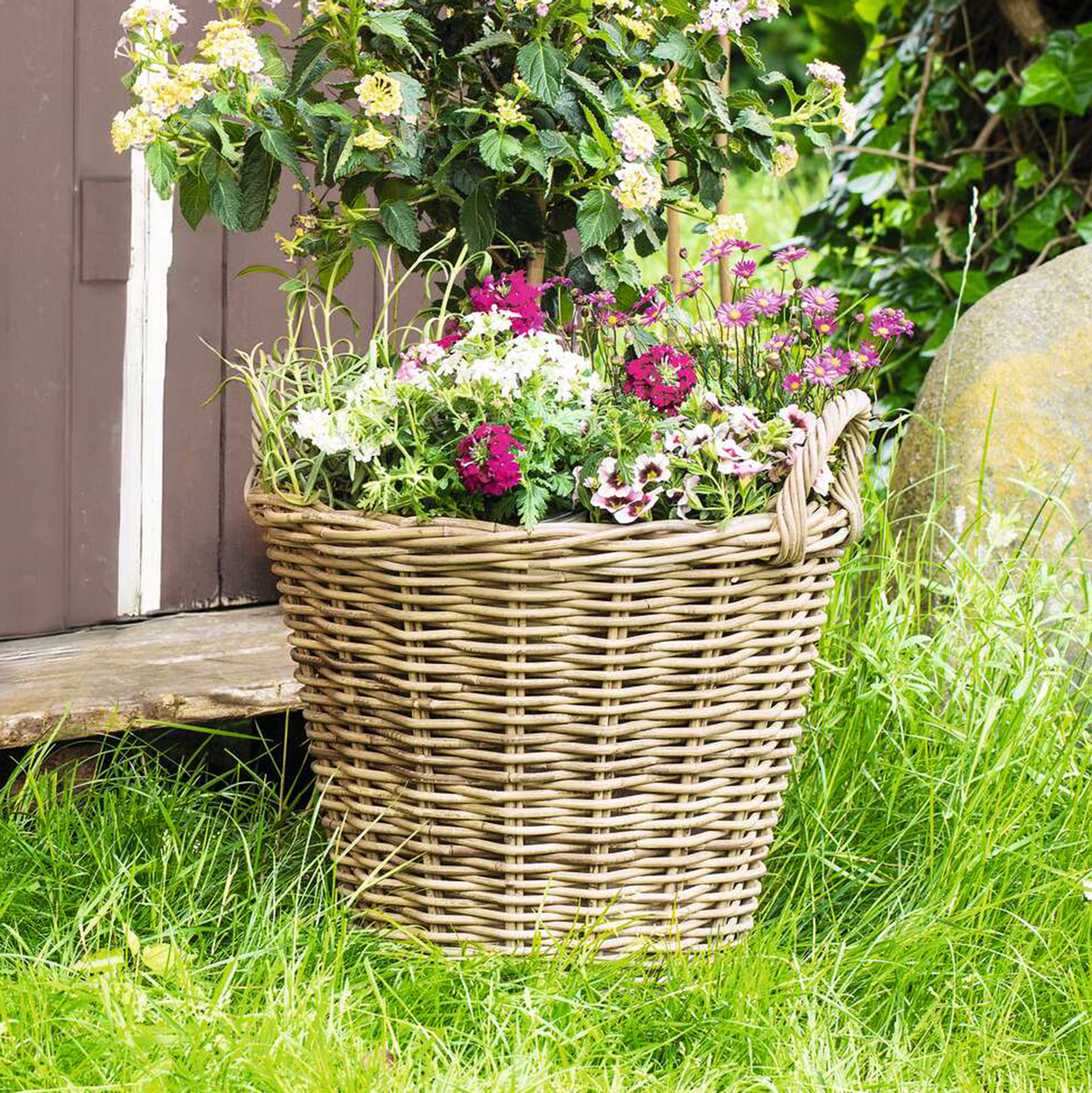 Pflanzkorb "Rattan", maxi  im Frank Flechtwaren Online Shop kaufen