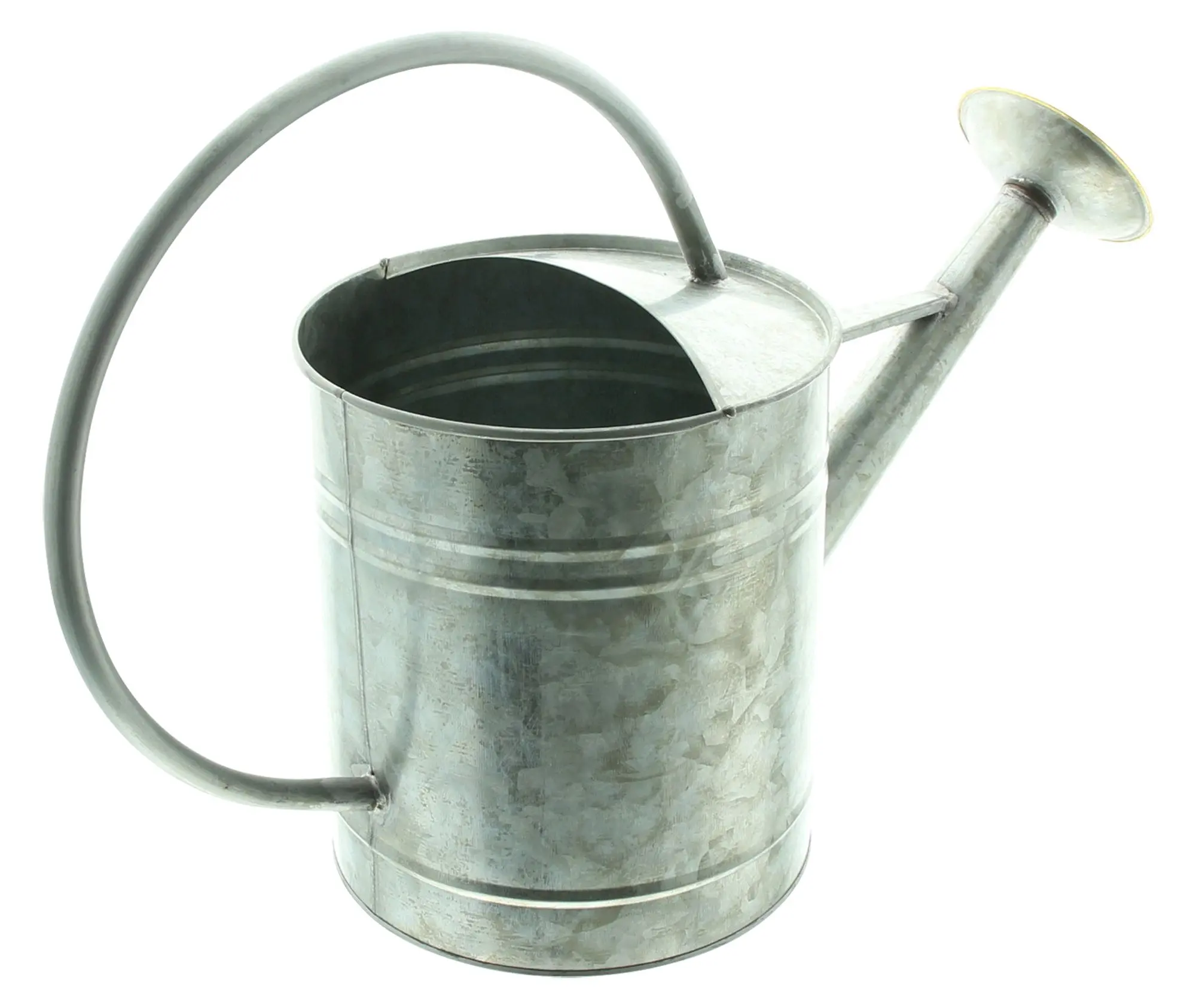 Dekogießkanne "Silver"  im Frank Flechtwaren Online Shop für Gartendeko kaufen