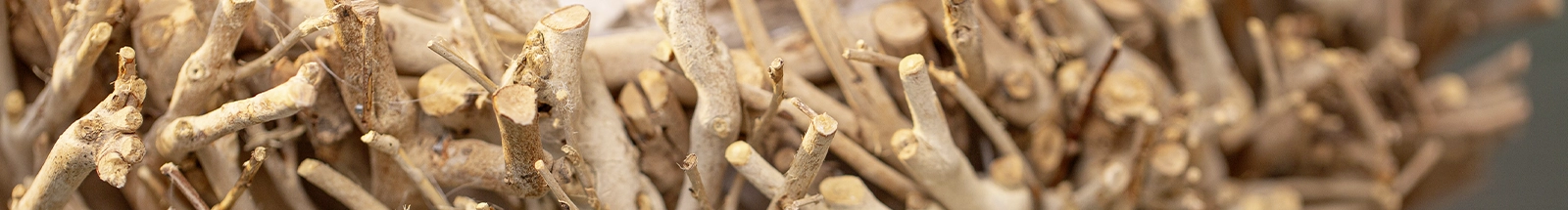 Dekoration: natürliche Holzäste und Zweige als rustikale Deko‑Elemente