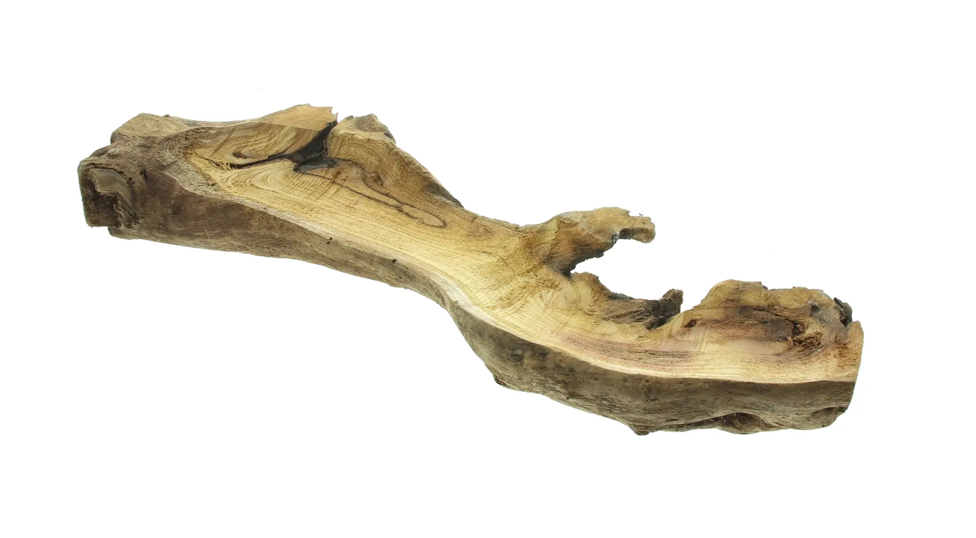 Dekowurzel "Rustic Art"  im Frank Flechtwaren Online Shop für Dekobündel kaufen