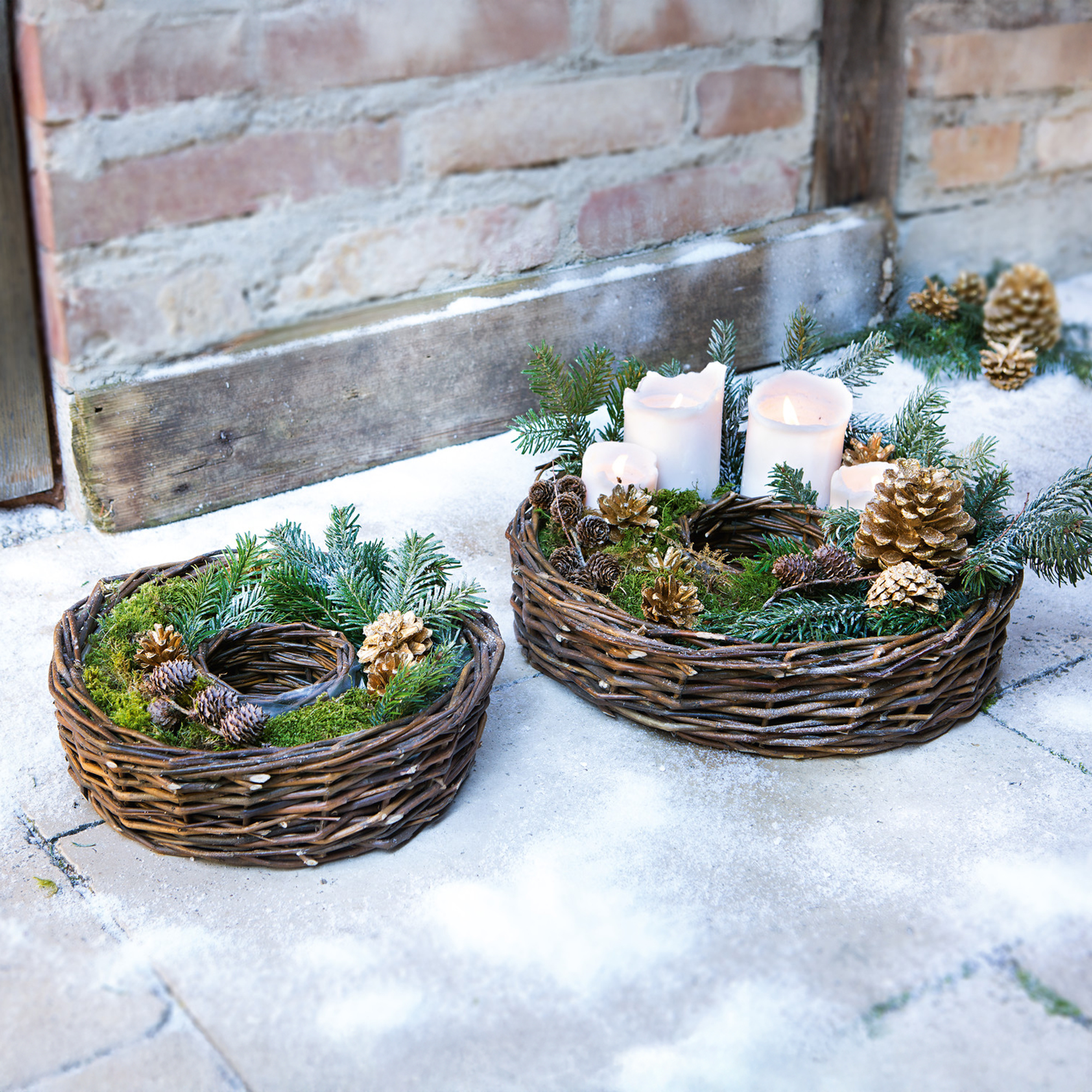 Pflanzrad, 2er Set  im Frank Flechtwaren Online Shop kaufen