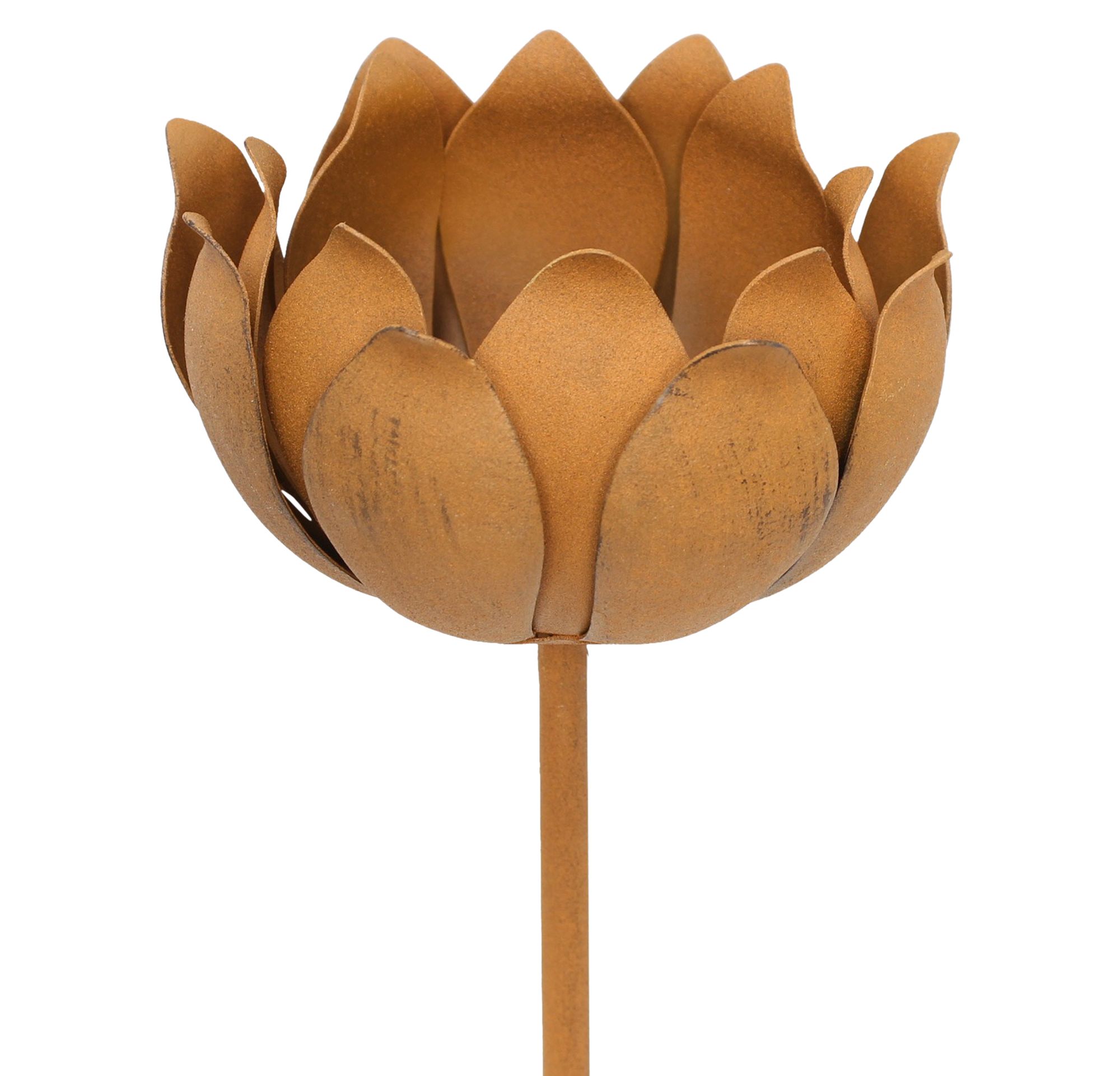 Gartenstecker "Blüte" im Frank Flechtwaren Online Shop für Ostern kaufen Gartenstecker "Blüte" im Frank Flechtwaren Online Shop für Ostern kaufen