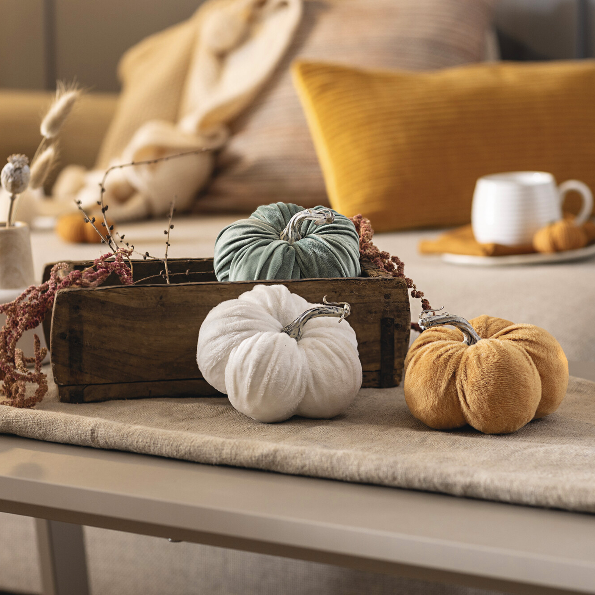 Herbstdeko "Samtkürbis", 3er Set  im Frank Flechtwaren Online Shop kaufen