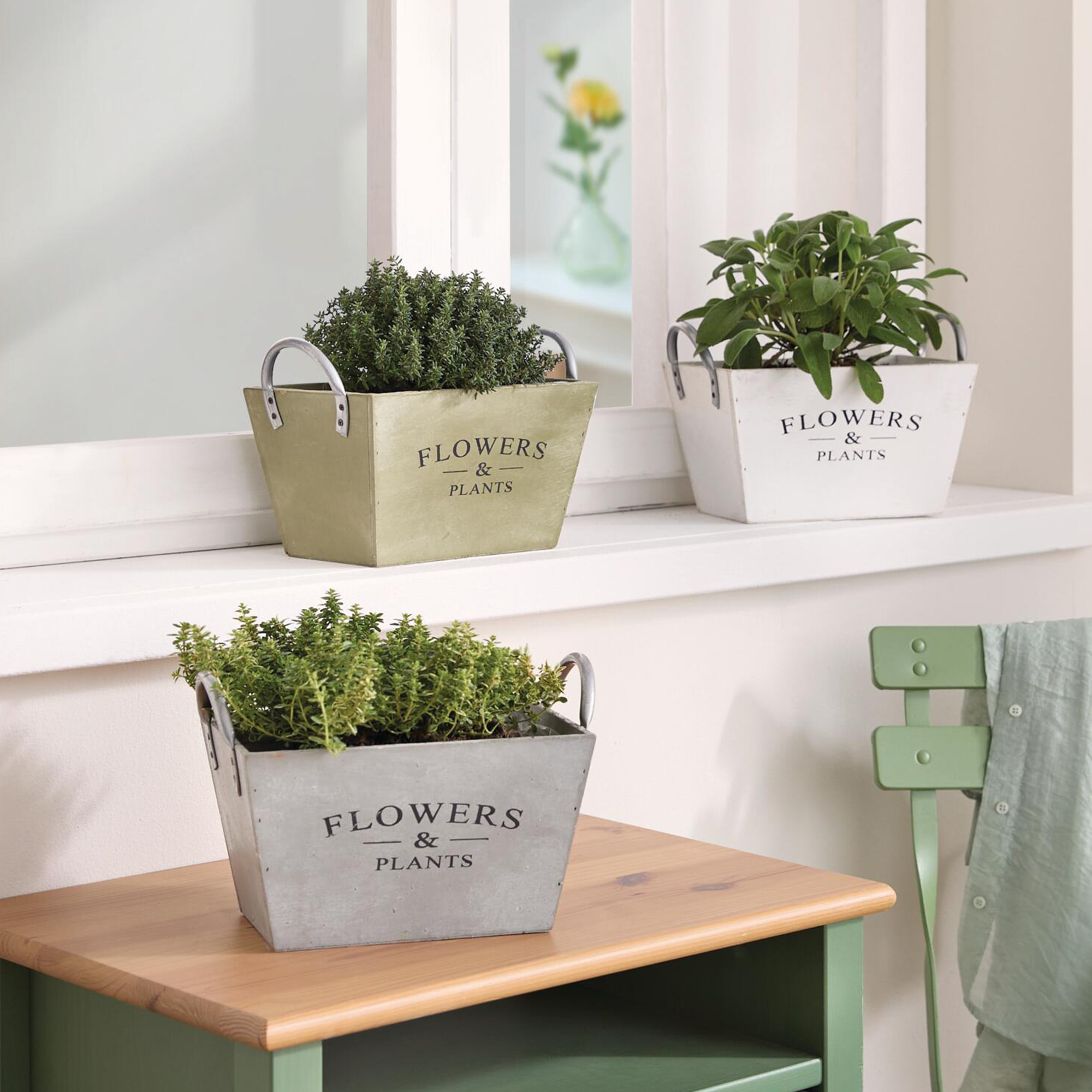 Pflanzer "Flowers &amp; Plants", 3er Set  im Frank Flechtwaren Online Shop kaufen