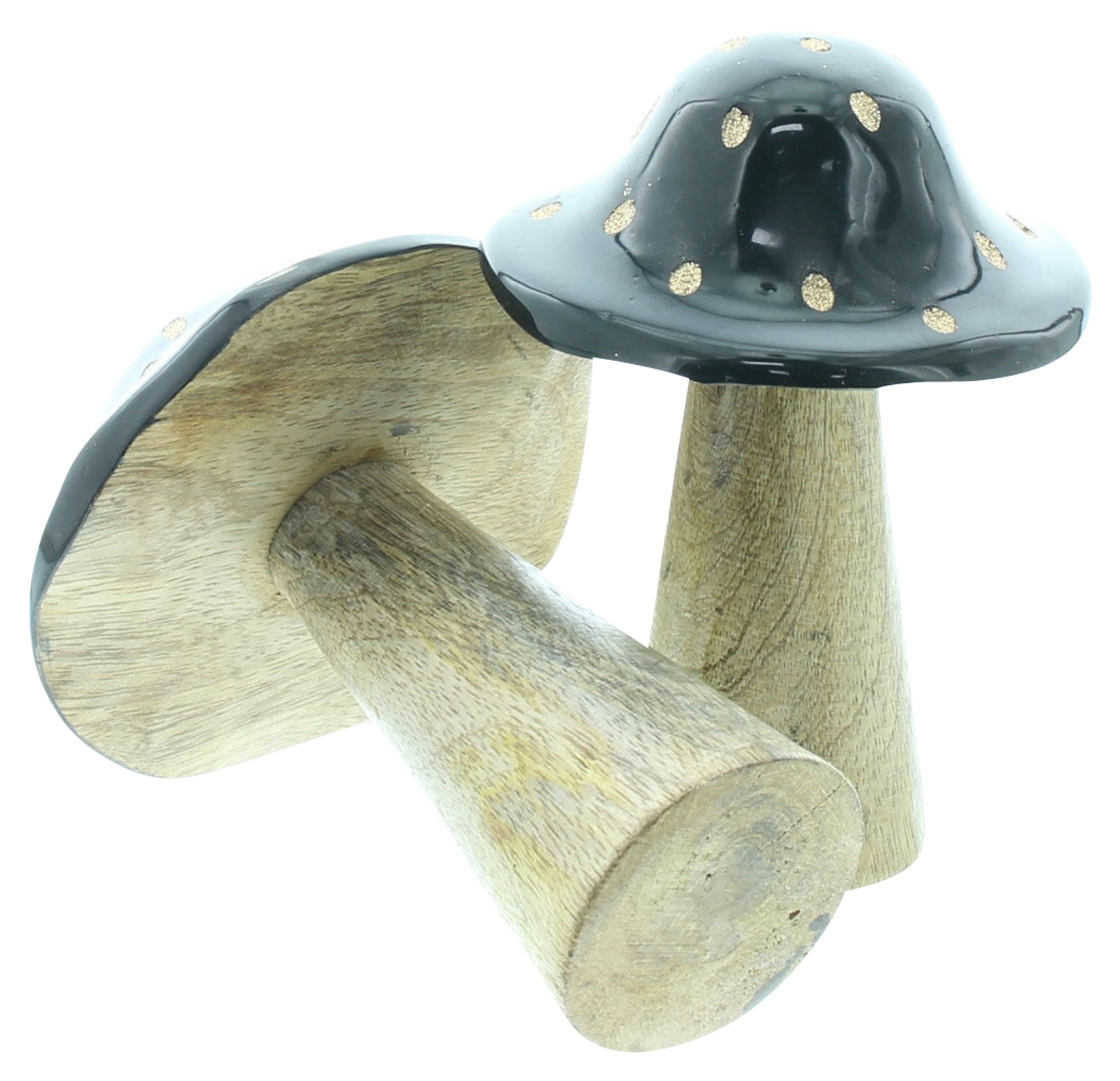 Pilz "Blacky", 2er Set  im Frank Flechtwaren Online Shop für Herbst kaufen