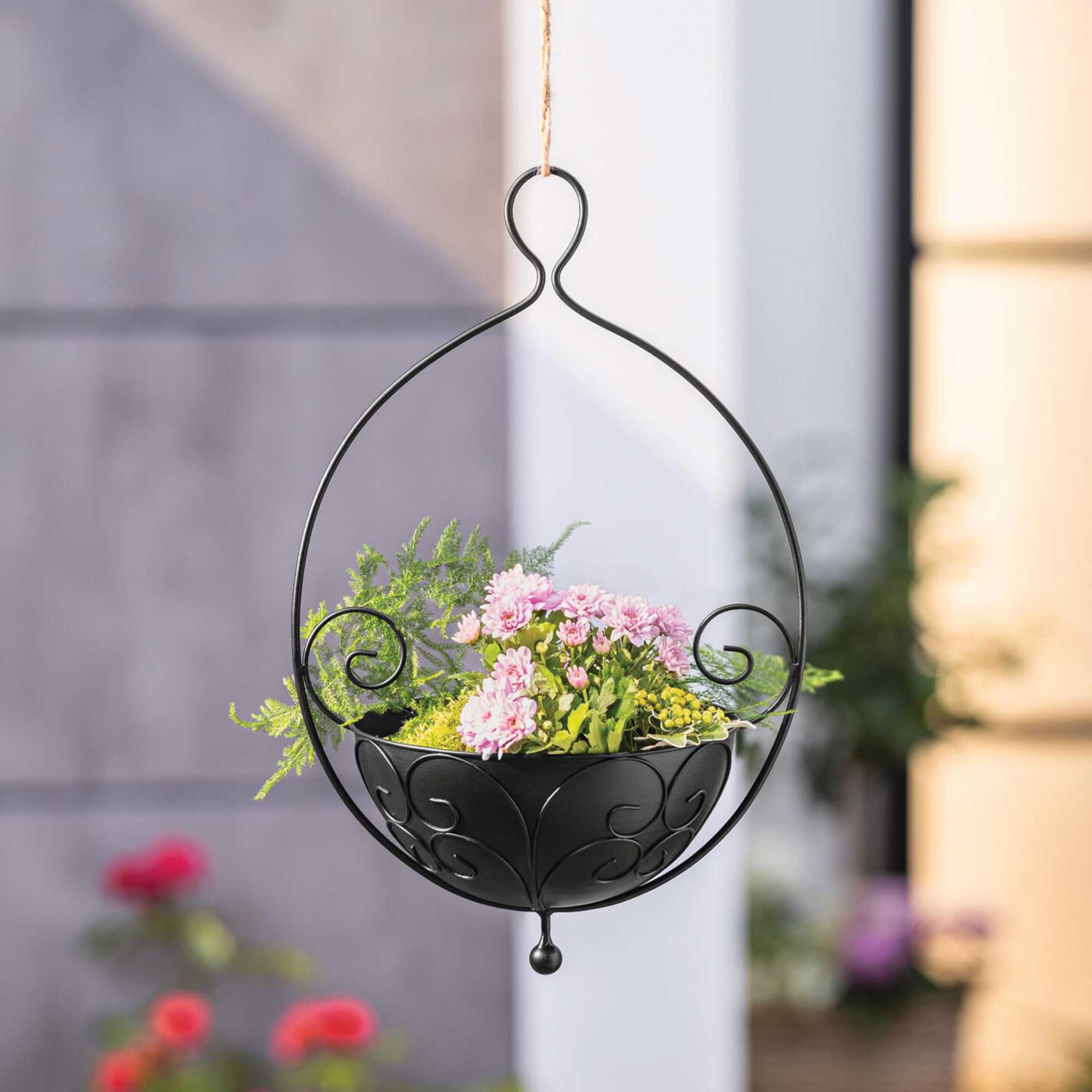 Pflanzampel "Ranken"  im Frank Flechtwaren Online Shop kaufen