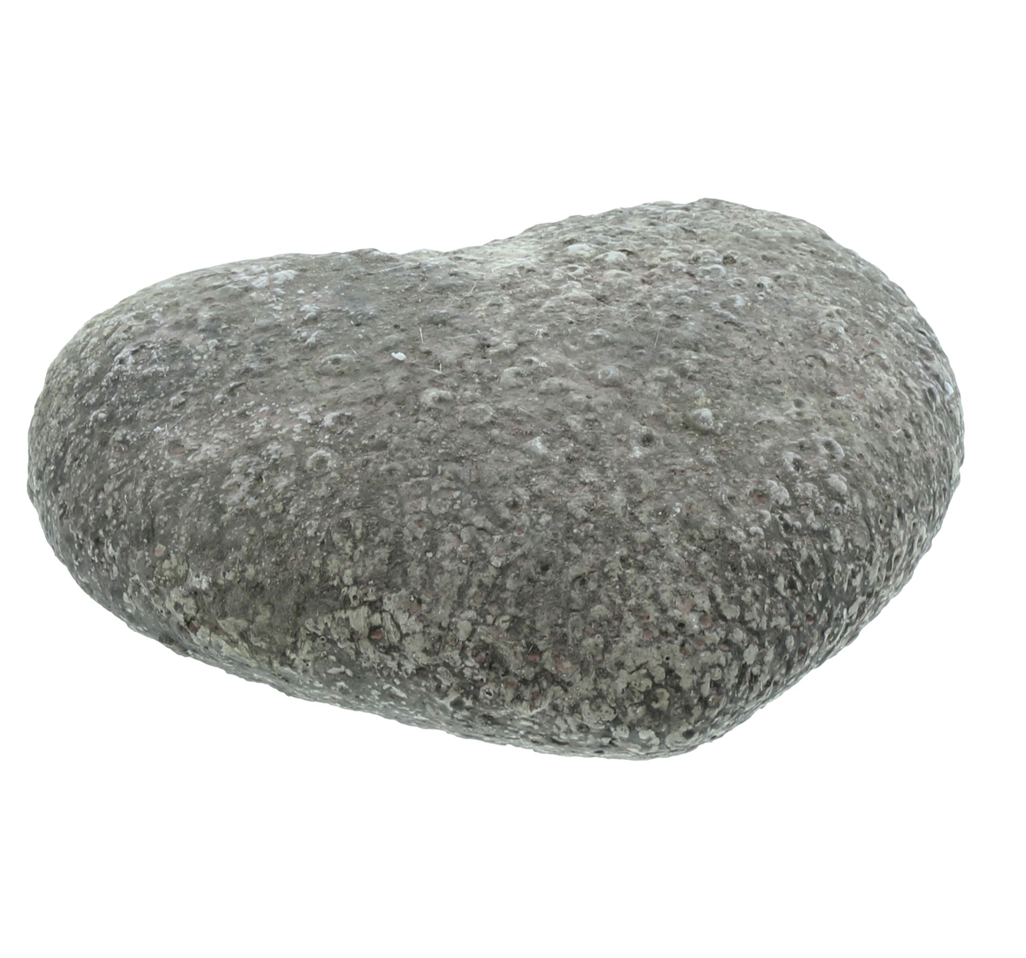 Dekoherz "Stone"  im Frank Flechtwaren Online Shop für Herbst kaufen