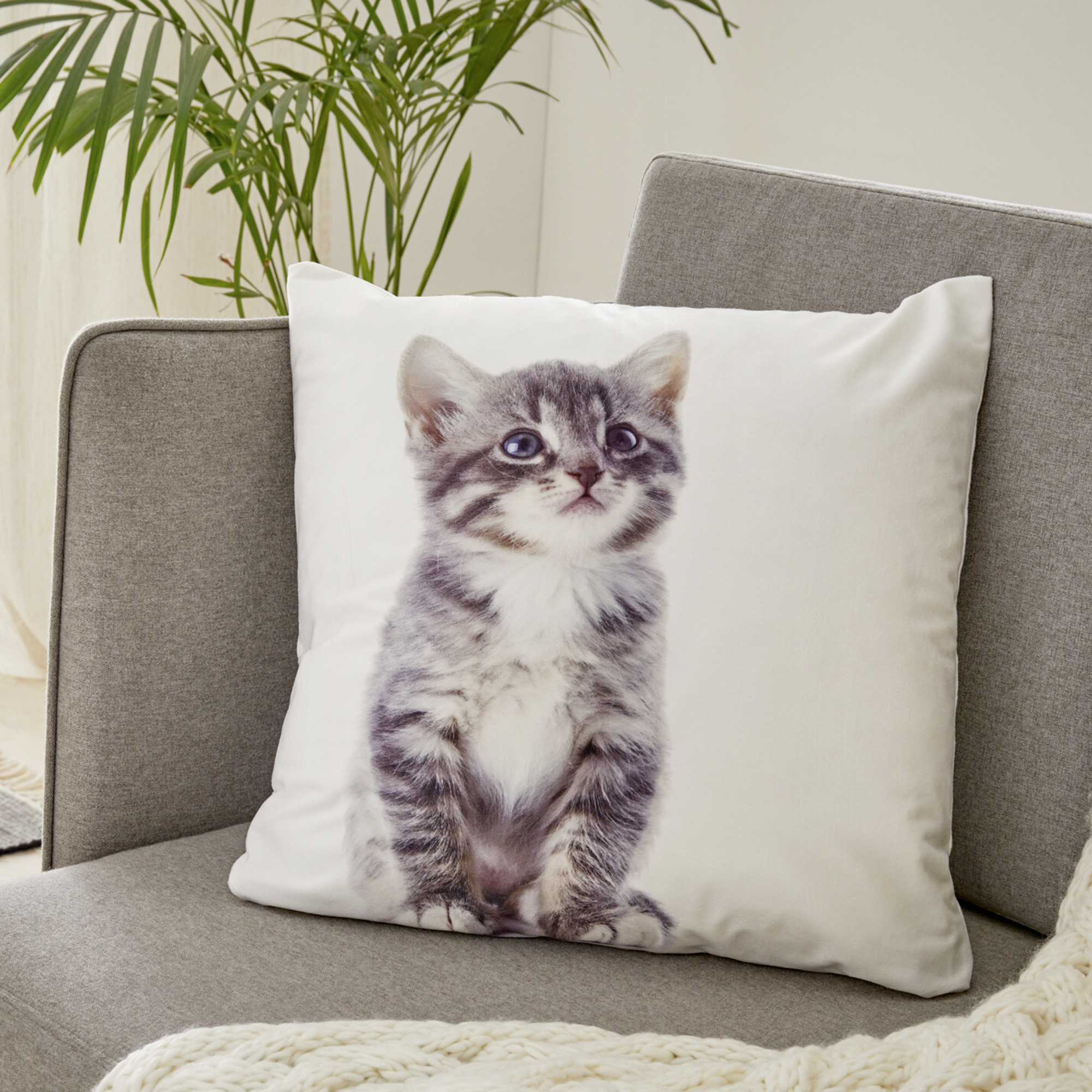 Kissenhülle "Kitty"  im Frank Flechtwaren Online Shop kaufen