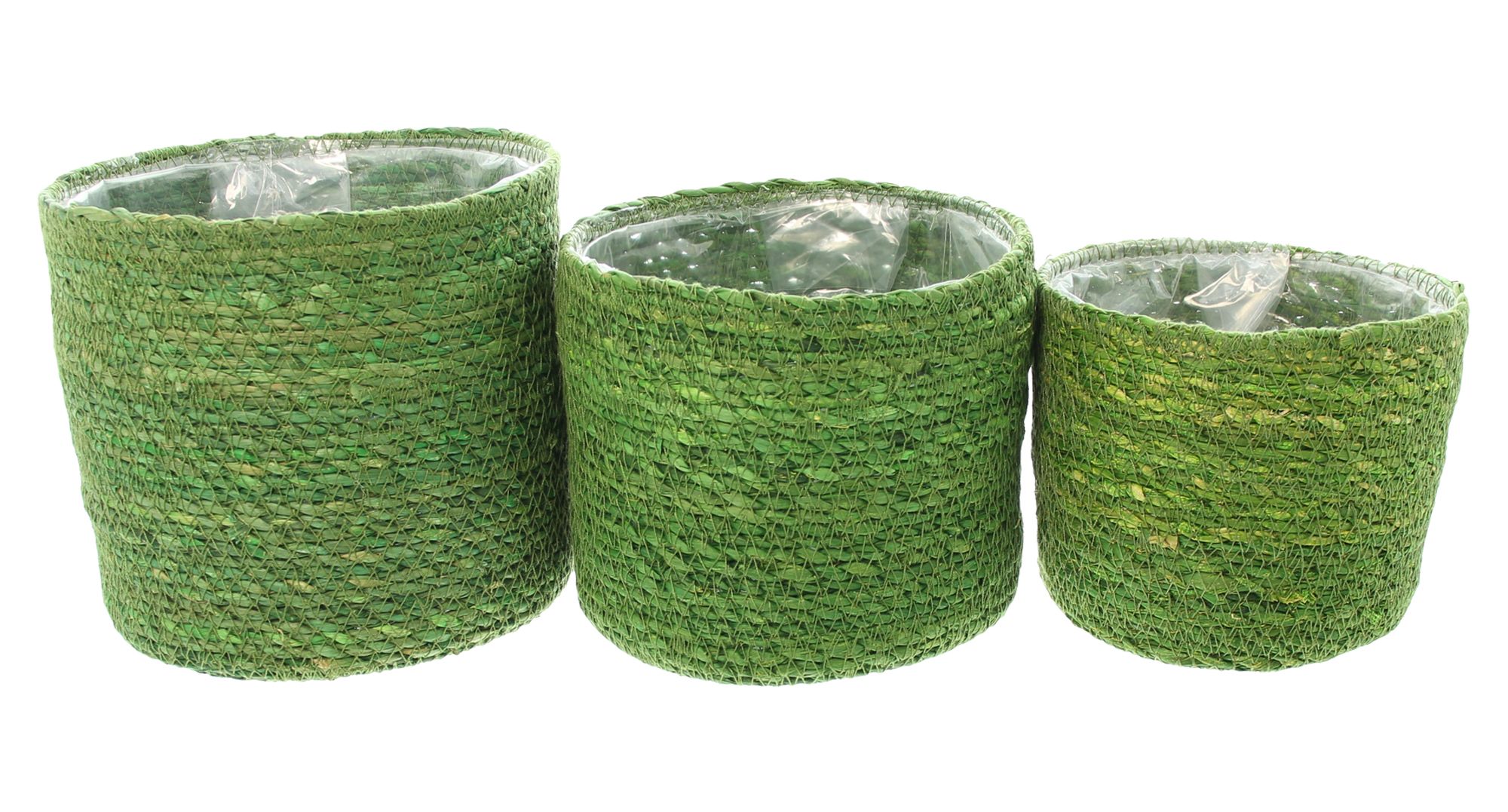 Pflanzkorb "Green", 3er Set im Frank Flechtwaren Online Shop für Pflanztöpfe kaufen Pflanzkorb "Green", 3er Set im Frank Flechtwaren Online Shop für Pflanztöpfe kaufen