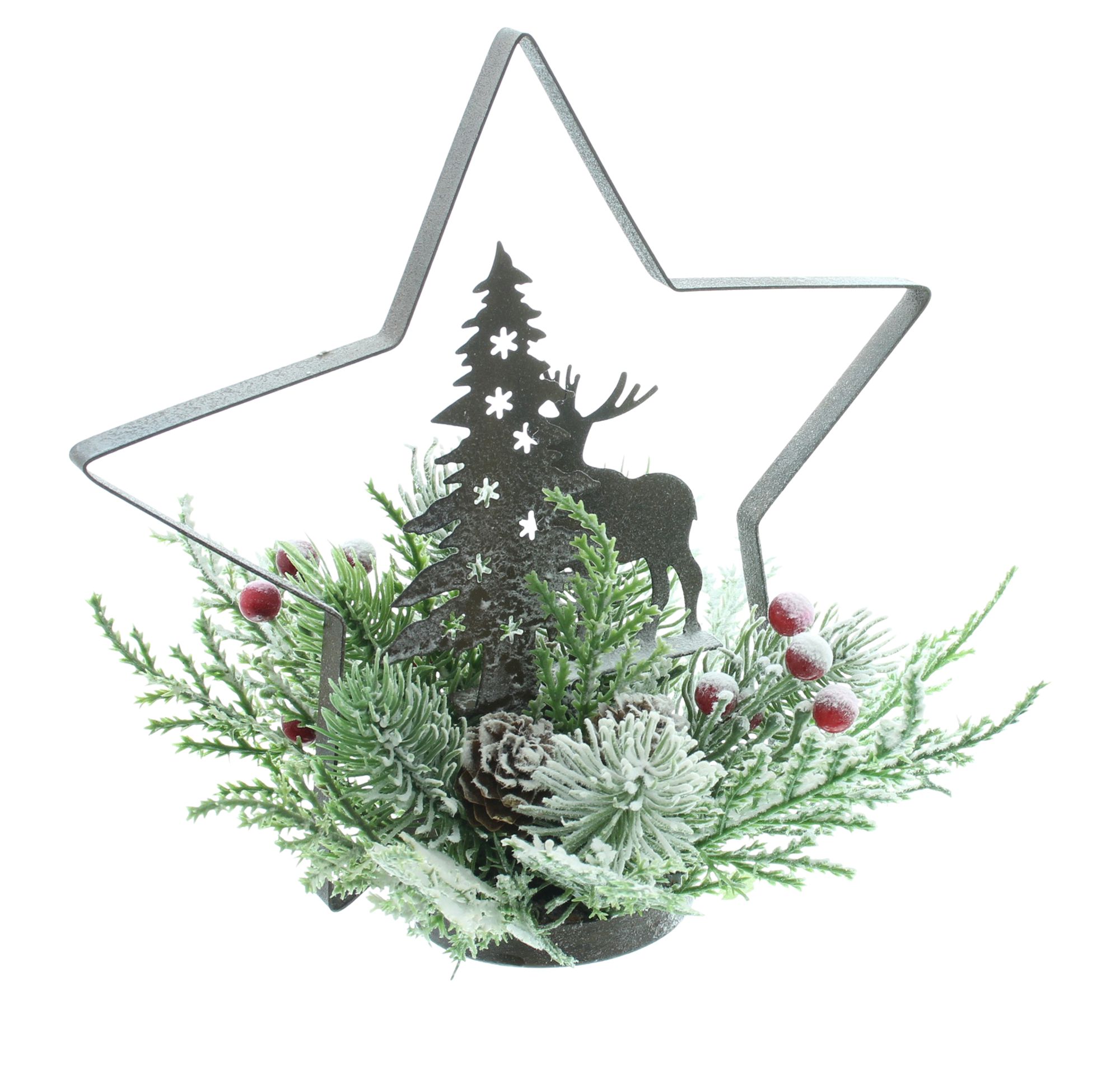 Stern "Hirsch & Tanne" im Frank Flechtwaren Online Shop für Weihnachten kaufen Stern "Hirsch & Tanne" im Frank Flechtwaren Online Shop für Weihnachten kaufen