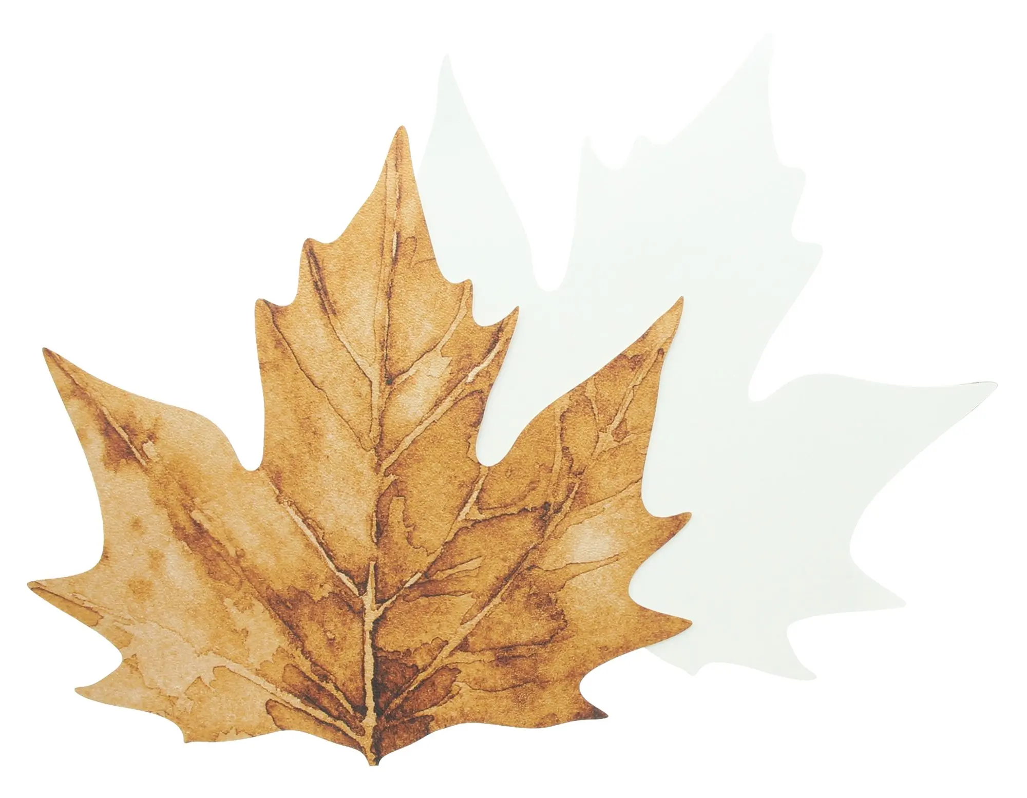 Tischset "Maple Leave", 2er Set  im Frank Flechtwaren Online Shop für Waldspaziergang kaufen