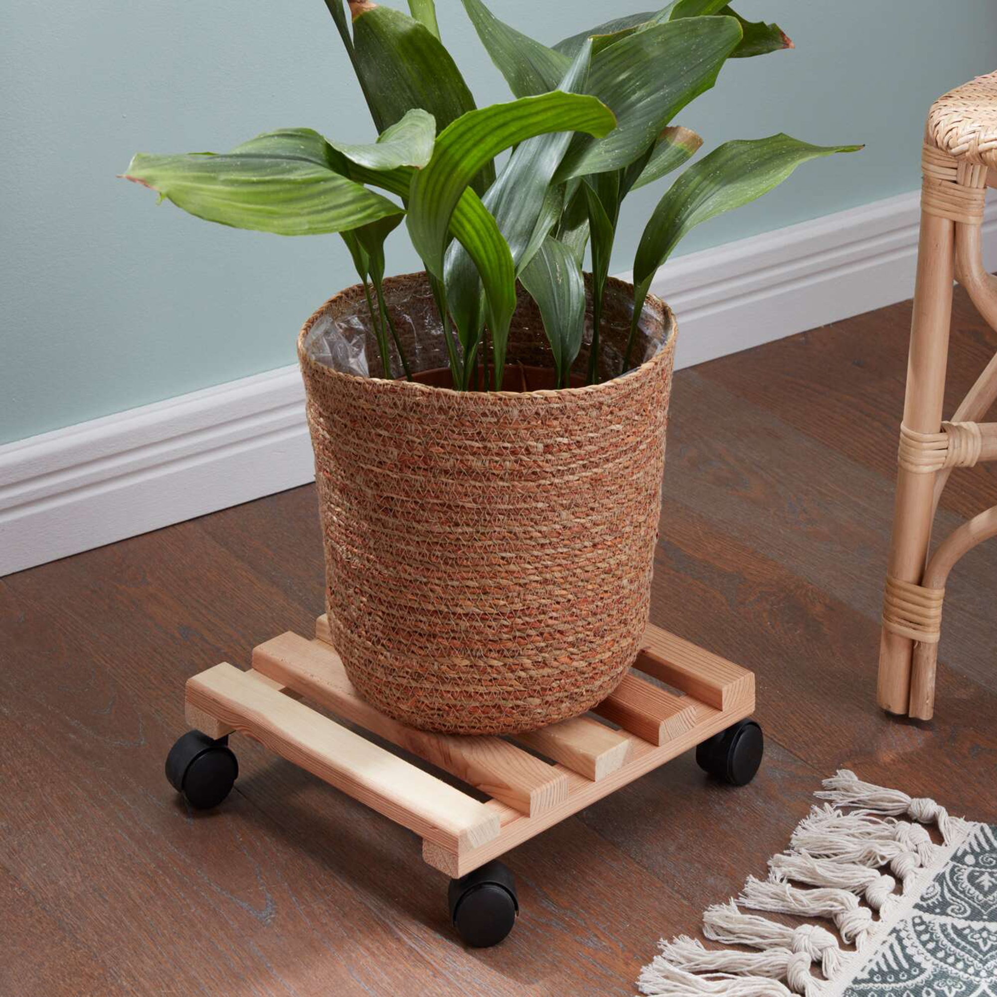 Pflanzenroller "Natur"  im Frank Flechtwaren Online Shop kaufen