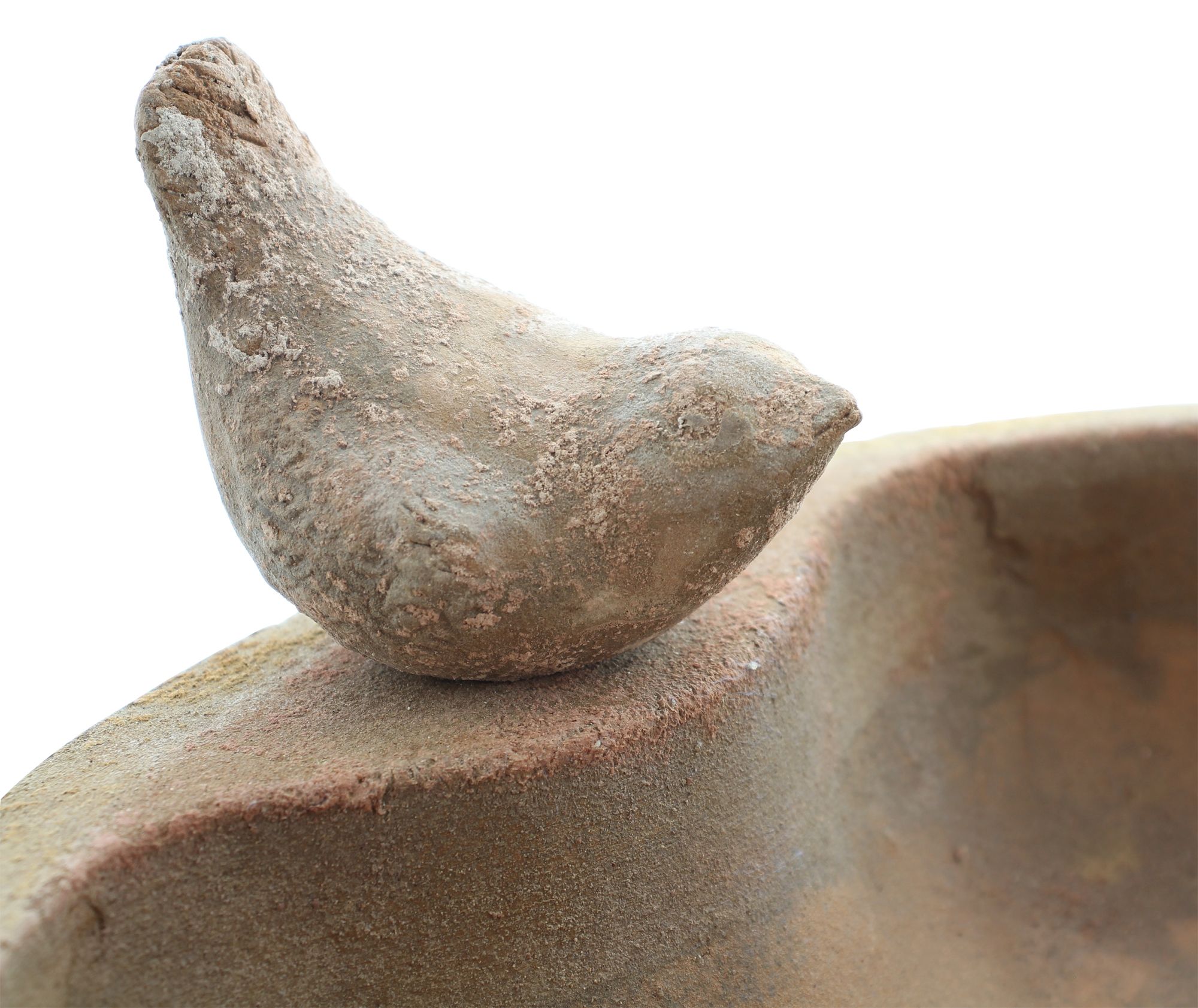 Vogeltränke "Terracotta" im Frank Flechtwaren Online Shop für Herbst kaufen Vogeltränke "Terracotta" im Frank Flechtwaren Online Shop für Herbst kaufen