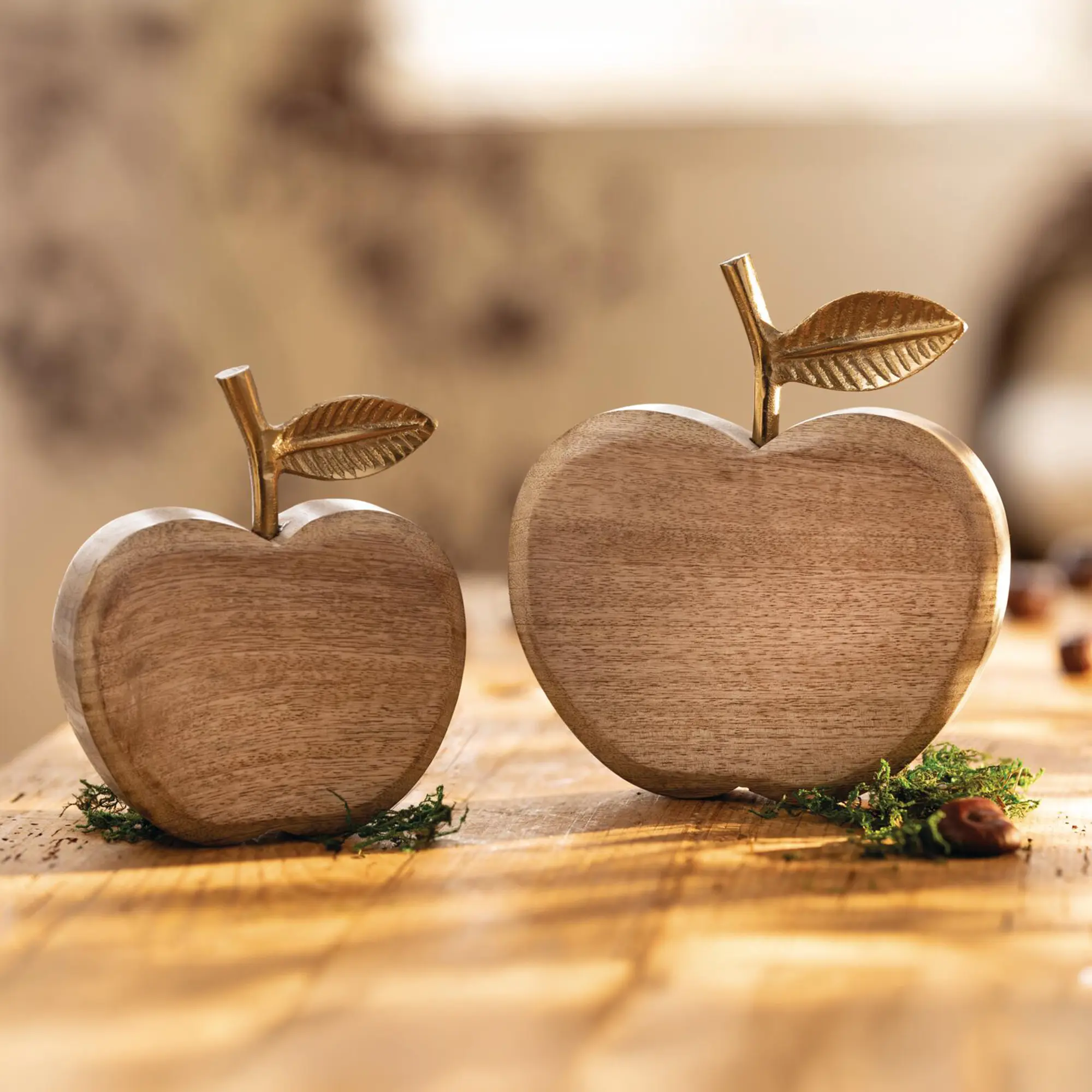 Deko-Apfel "Goldglanz", 2er Set  im Frank Flechtwaren Online Shop kaufen