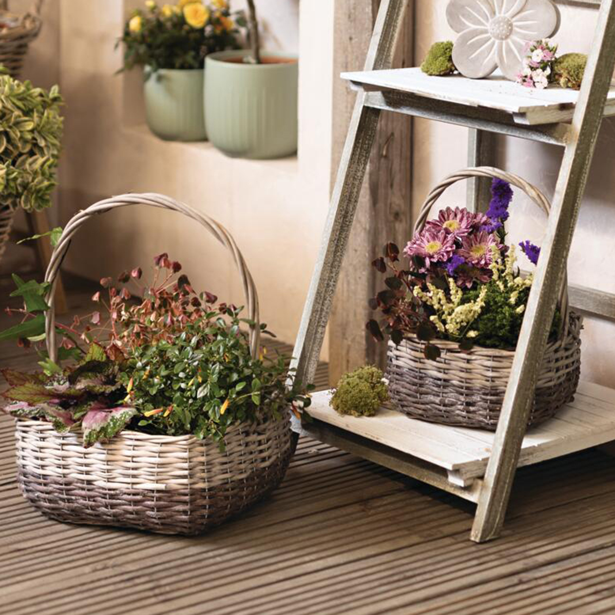 Pflanzkorb "Graue Weide", 2er Set  im Frank Flechtwaren Online Shop kaufen