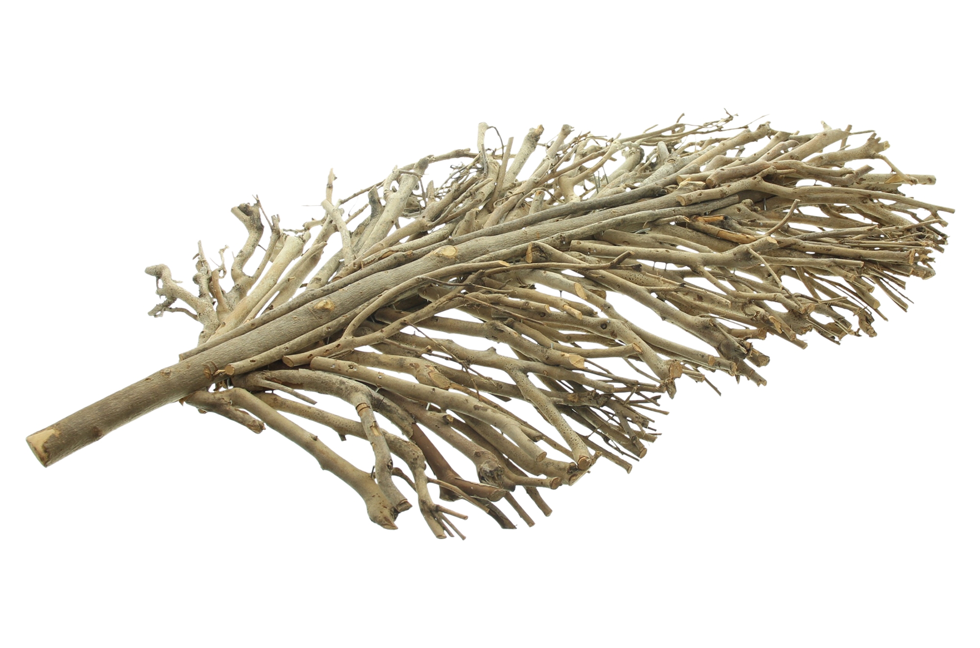 Dekoblatt "Verzweigt"  im Frank Flechtwaren Online Shop für Titelserie Herbst/Winter kaufen