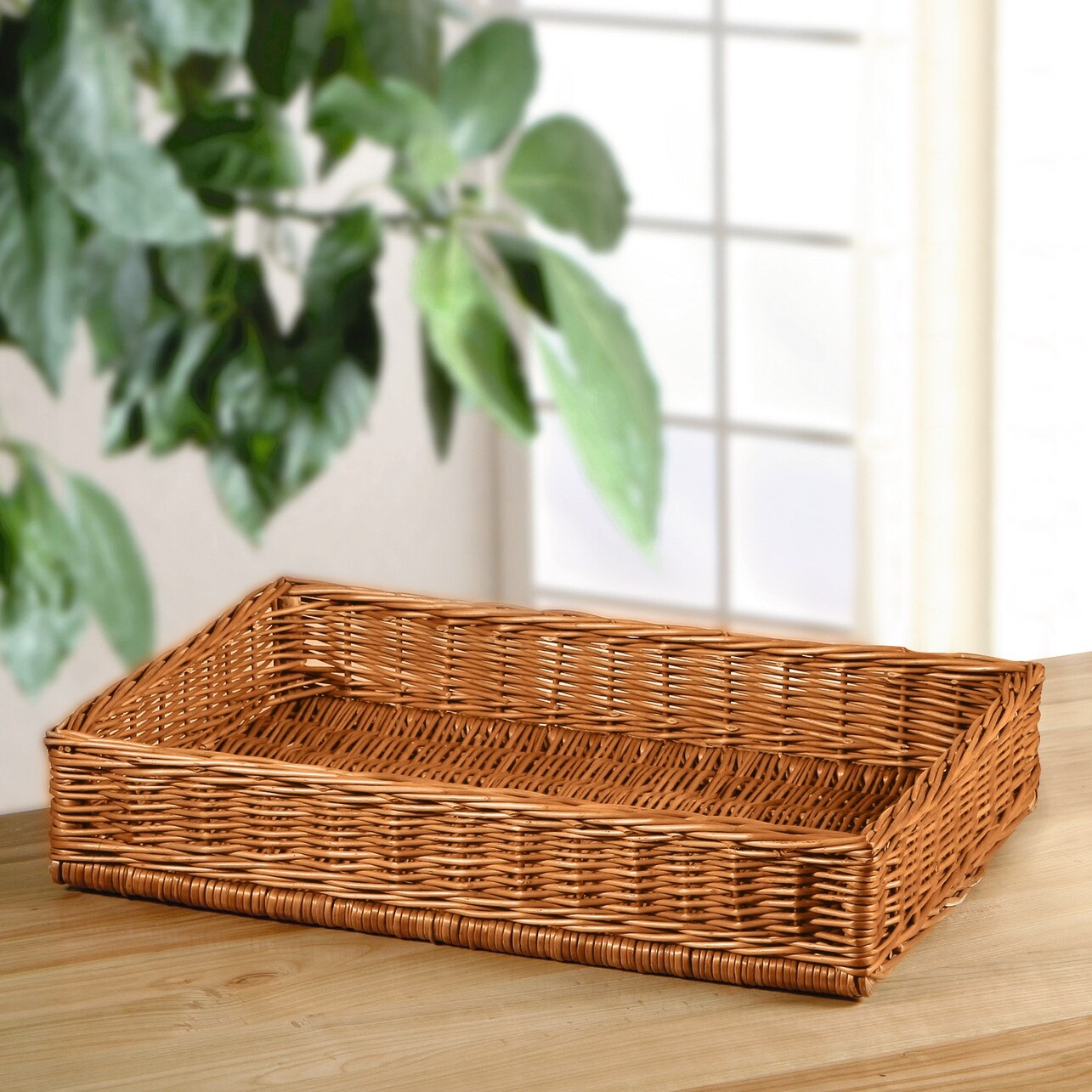 Auslagekorb "Natur"  im Frank Flechtwaren Online Shop kaufen