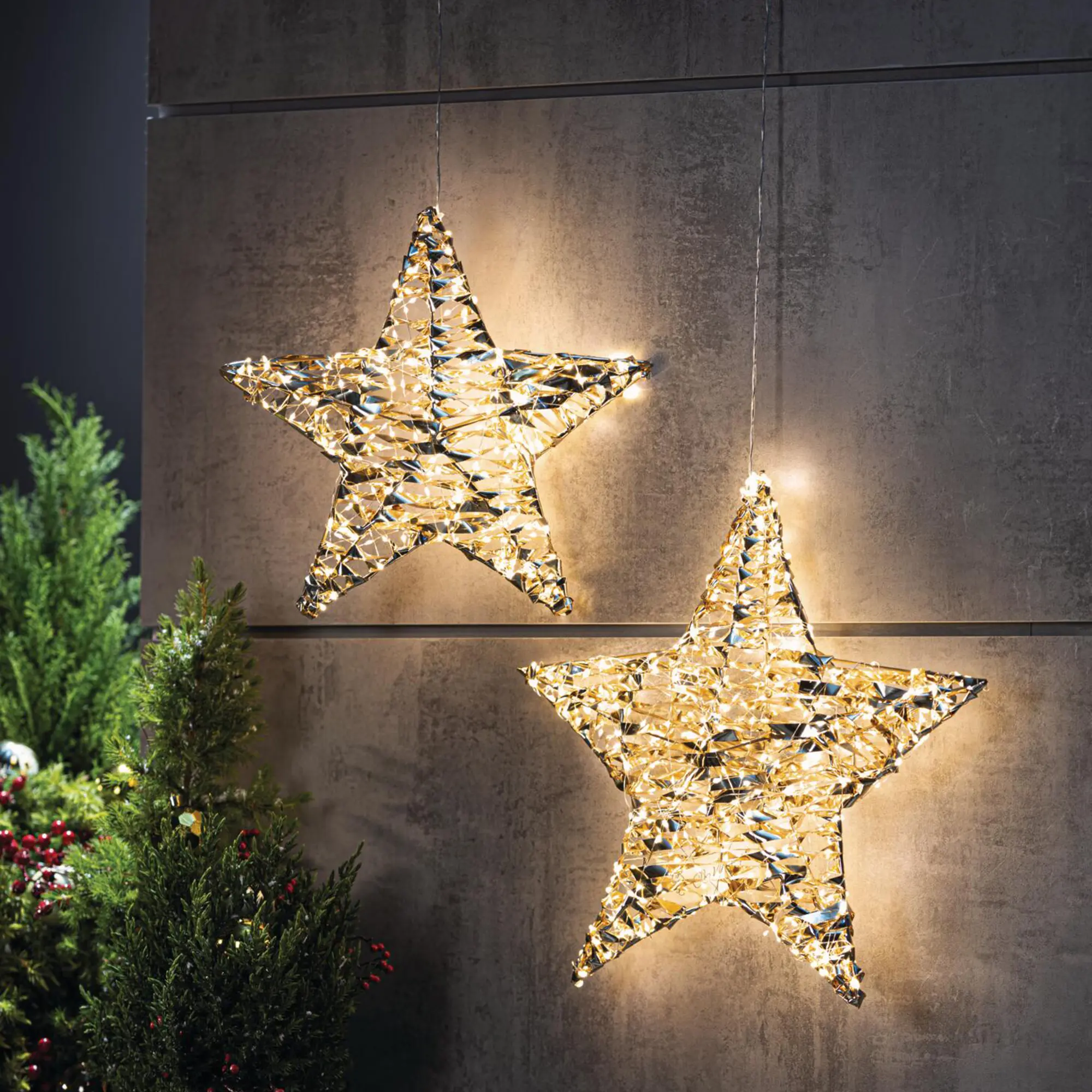 LED-Stern "Golden", 2er Set  im Frank Flechtwaren Online Shop kaufen