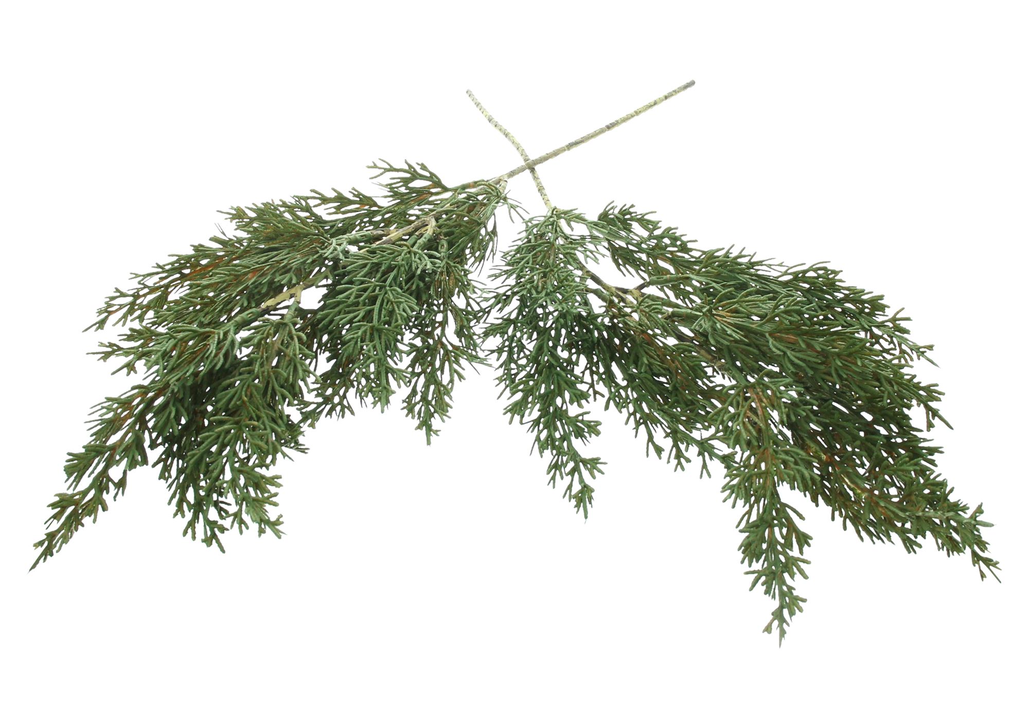Kunstzweig "Zeder", 2er Set  im Frank Flechtwaren Online Shop für Zubehör für Adventskränze kaufen