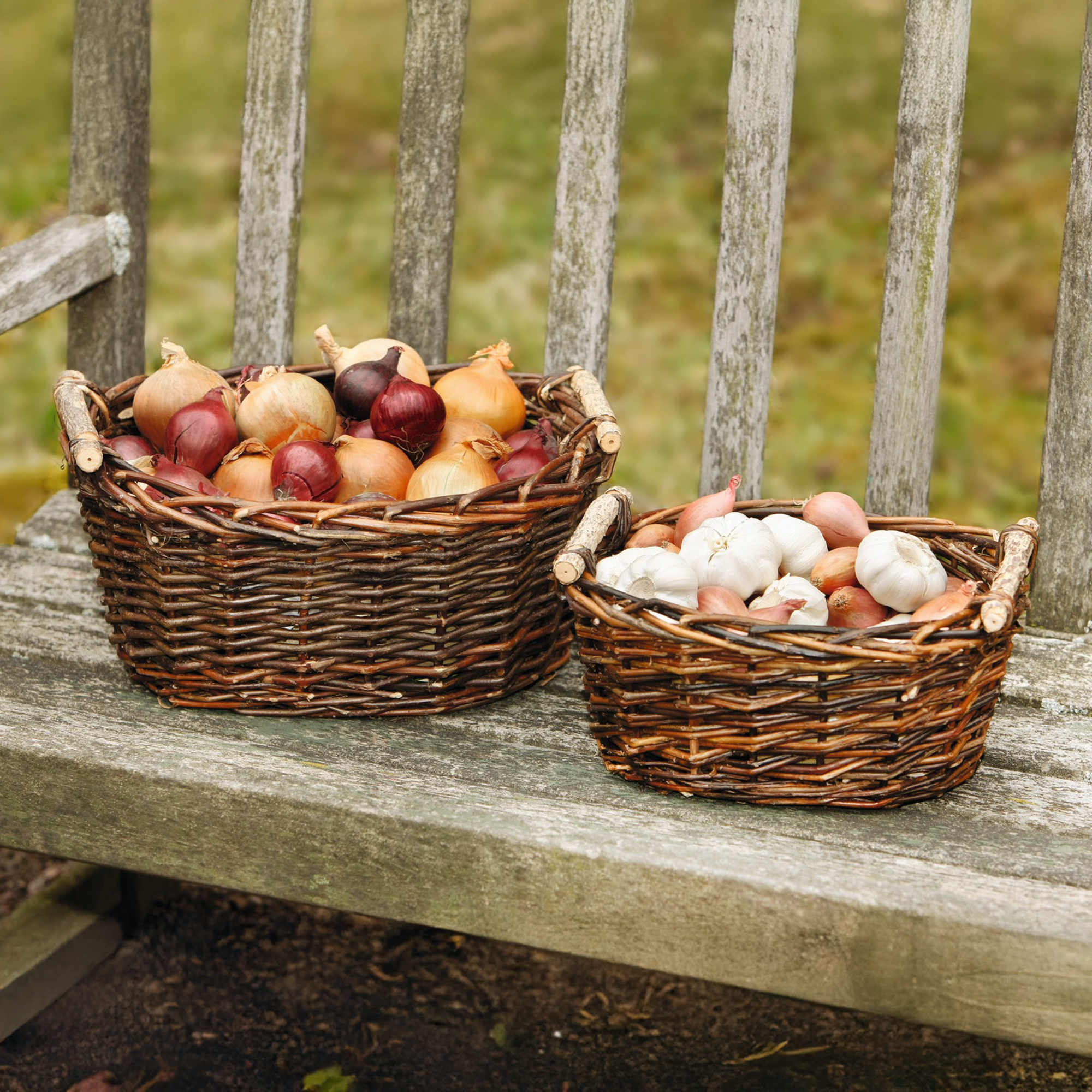 Füllkorb "Holzgriff", klein im Frank Flechtwaren Online Shop für Herbst kaufen Füllkorb "Holzgriff", klein im Frank Flechtwaren Online Shop für Herbst kaufen