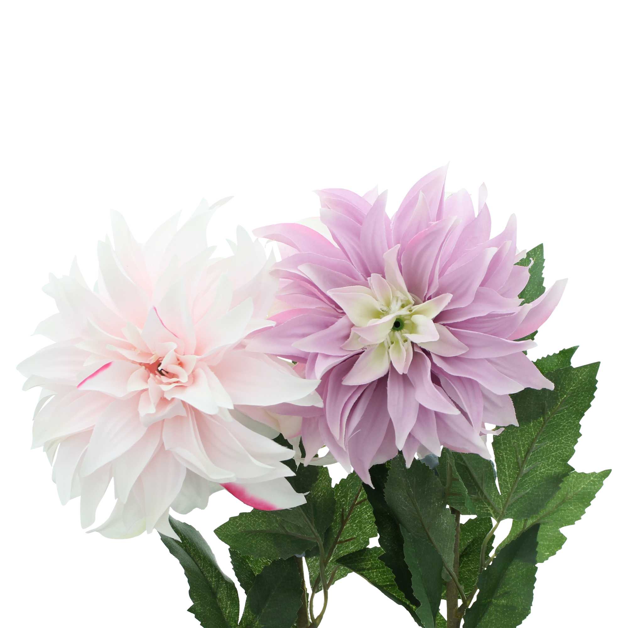 Blume "Orchideen-Dahlie", 2er Set im Frank Flechtwaren Online Shop für Kunstpflanzen kaufen Blume "Orchideen-Dahlie", 2er Set im Frank Flechtwaren Online Shop für Kunstpflanzen kaufen