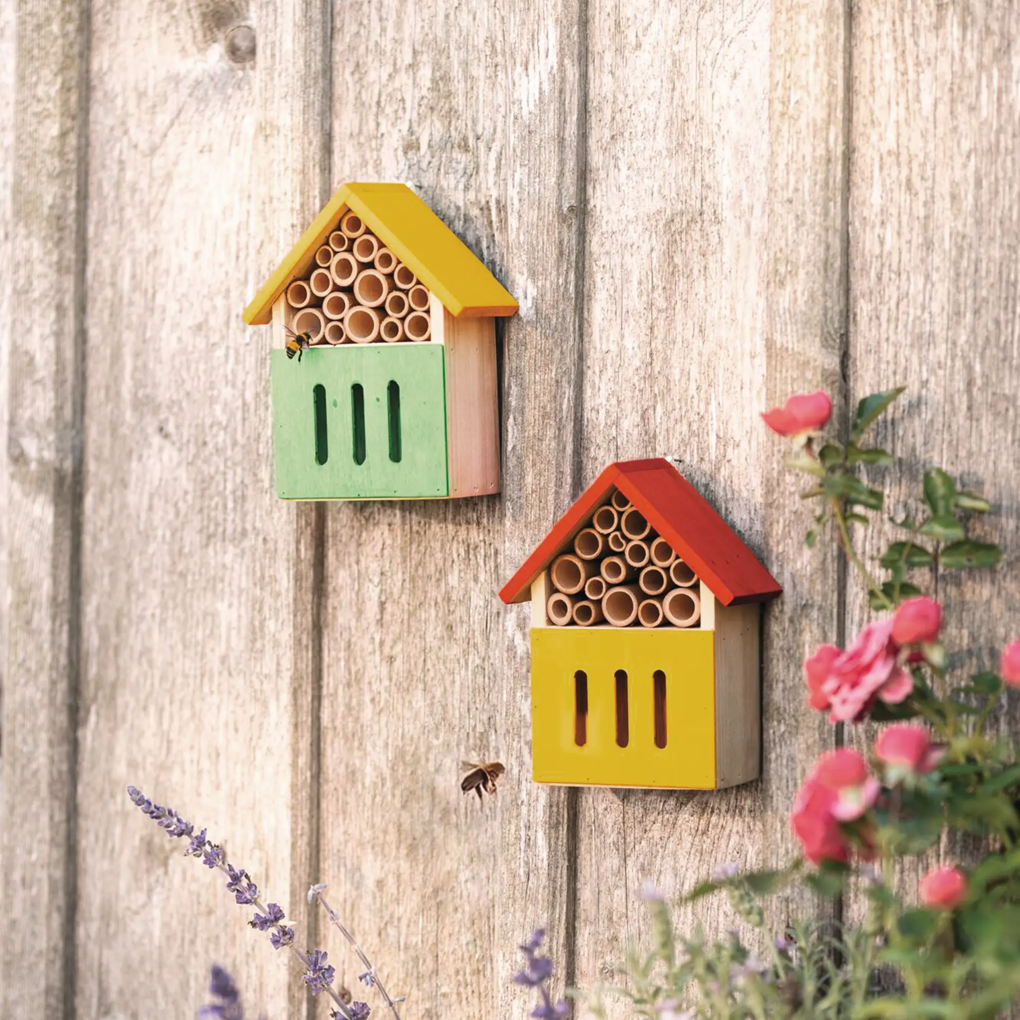 Insektenhotel "Colors", 2er Set  im Frank Flechtwaren Online Shop kaufen