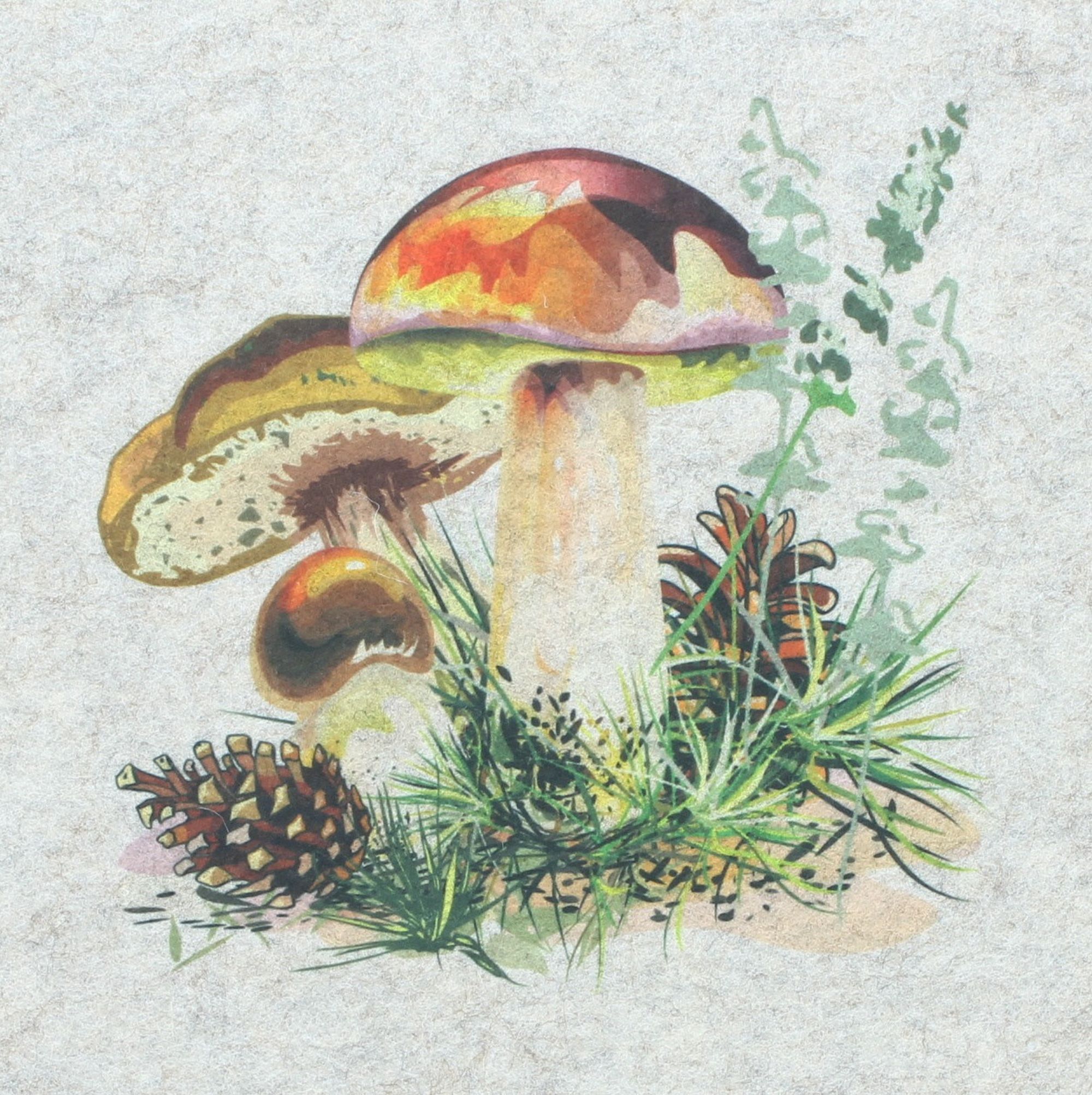 Platzmatte "Waldpilze", 2er Set im Frank Flechtwaren Online Shop für Herbst kaufen Platzmatte "Waldpilze", 2er Set im Frank Flechtwaren Online Shop für Herbst kaufen