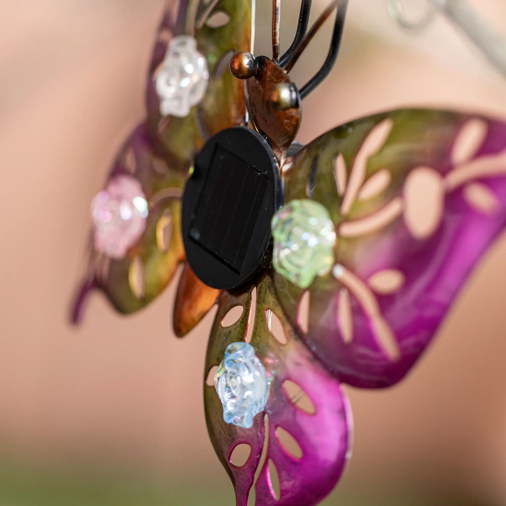 Solar-Deko "Butterfly &amp; Beetle", 2er Set  im Frank Flechtwaren Online Shop für LED-Dekoobjekte kaufen