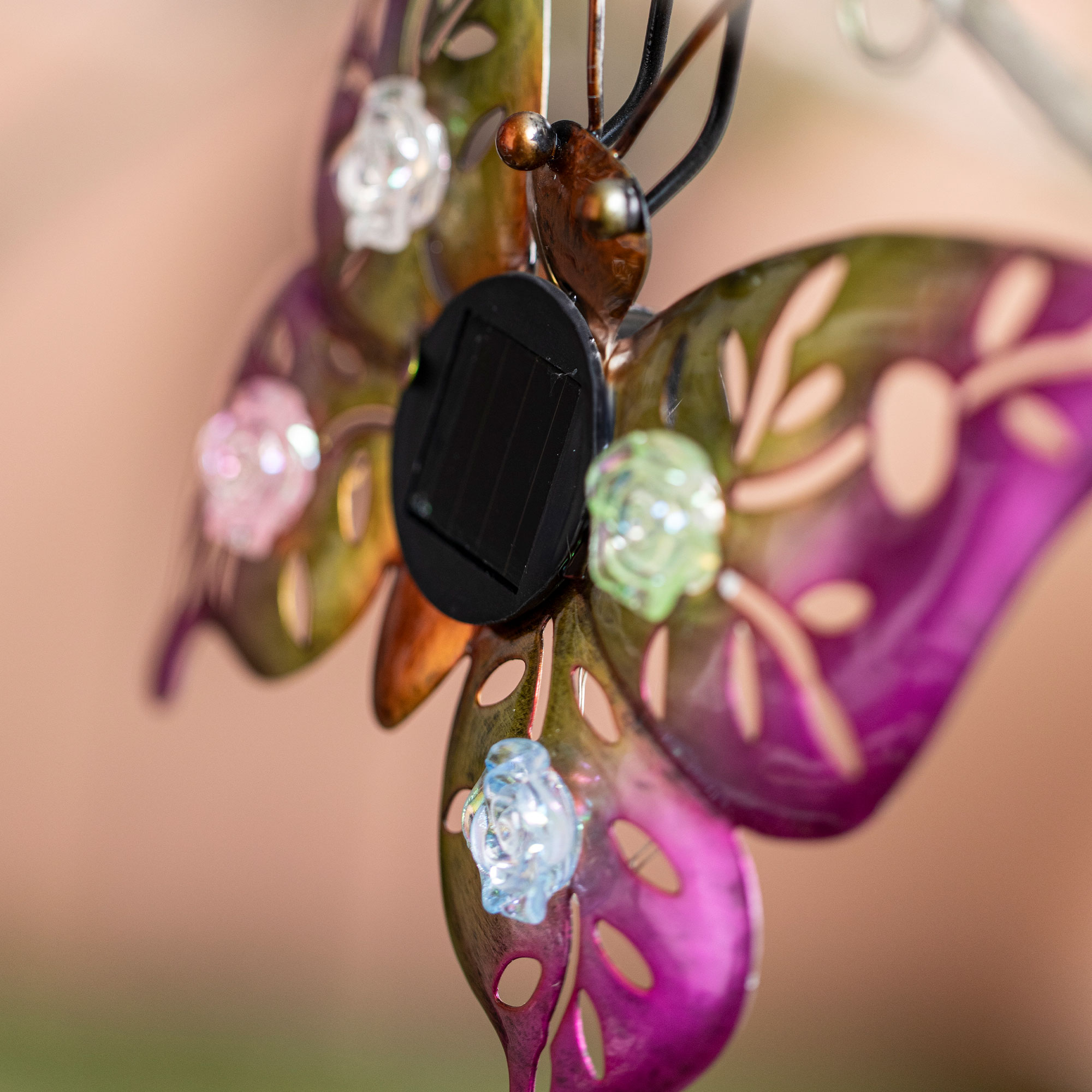Solar-Deko "Butterfly &amp; Beetle", 2er Set  im Frank Flechtwaren Online Shop für Solar-Beleuchtung kaufen