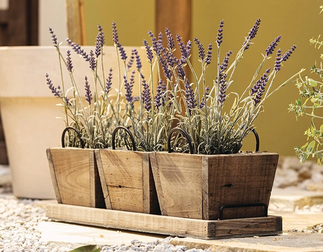 Gartendeko: Holzpflanzkiste mit Lavendel als mediterrane Dekoration für Terrasse und Garten