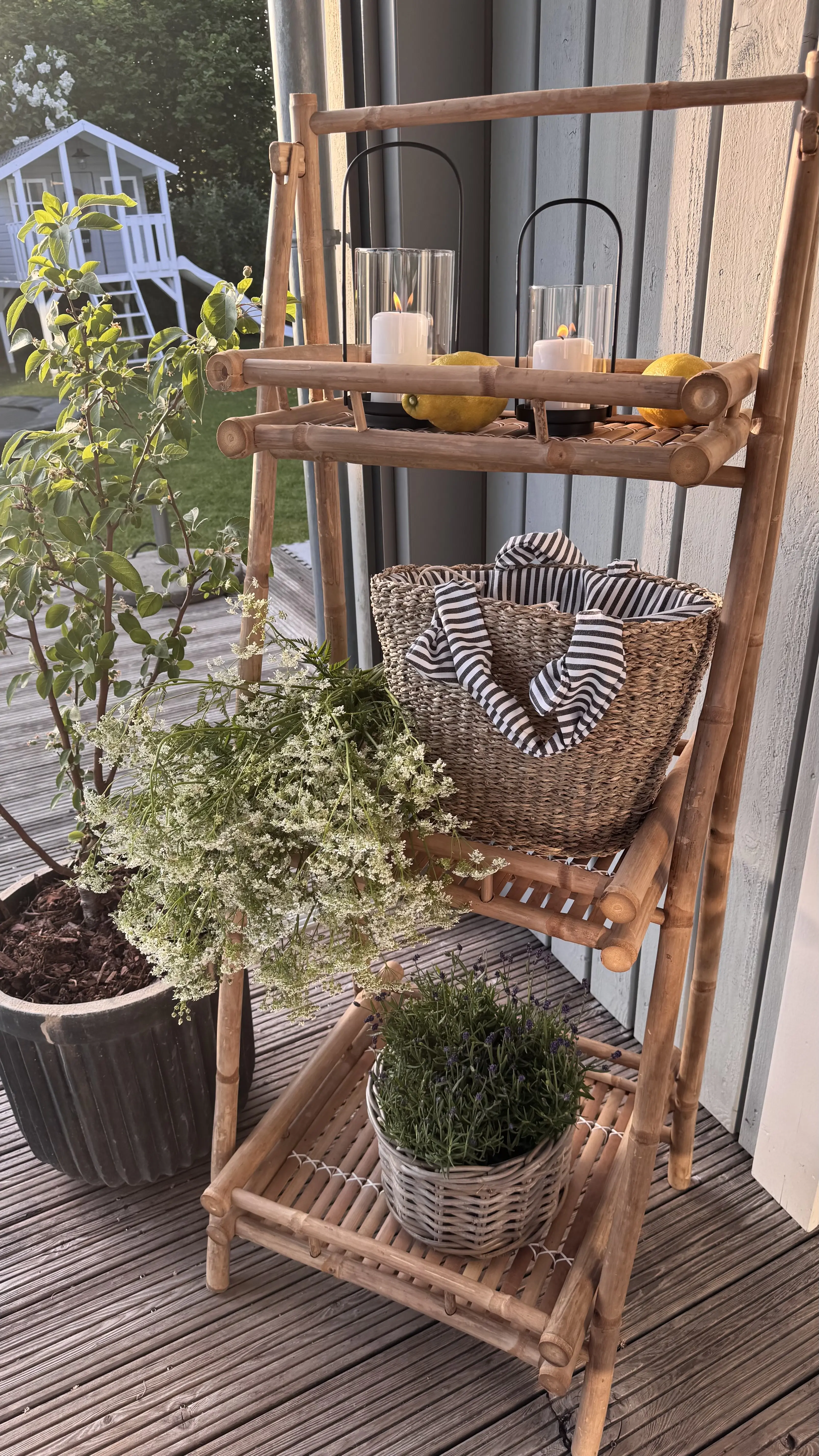 Gartendeko: Bambusregal mit Pflanzen, Korb und Laternen im Außenbereich auf Terrasse