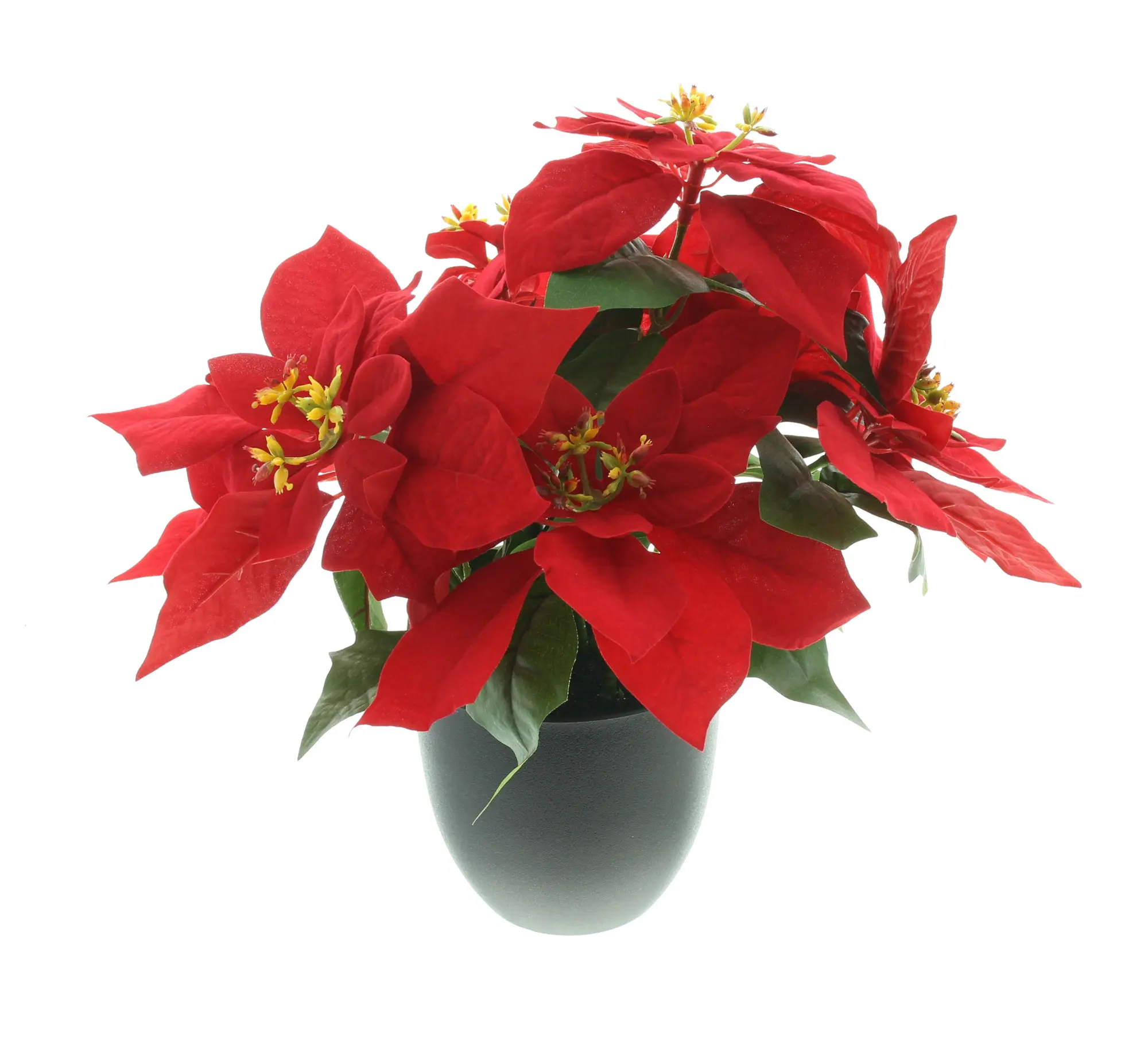 Kunstblume "Großer Weihnachtsstern" im Frank Flechtwaren Online Shop für Weihnachten kaufen Kunstblume "Großer Weihnachtsstern" im Frank Flechtwaren Online Shop für Weihnachten kaufen