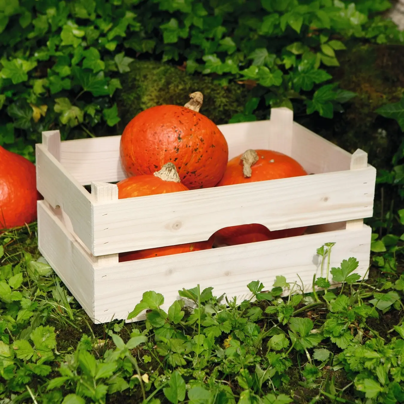 Holz-Steige "Natur"  im Frank Flechtwaren Online Shop kaufen