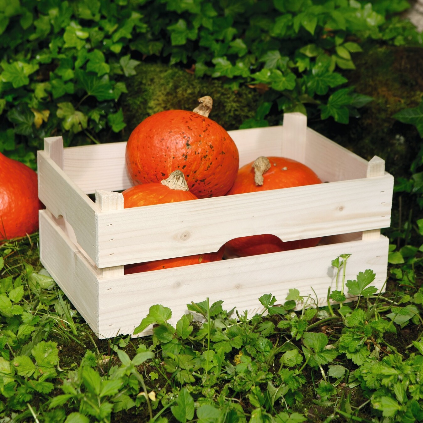 Holz-Steige "Natur"  im Frank Flechtwaren Online Shop kaufen