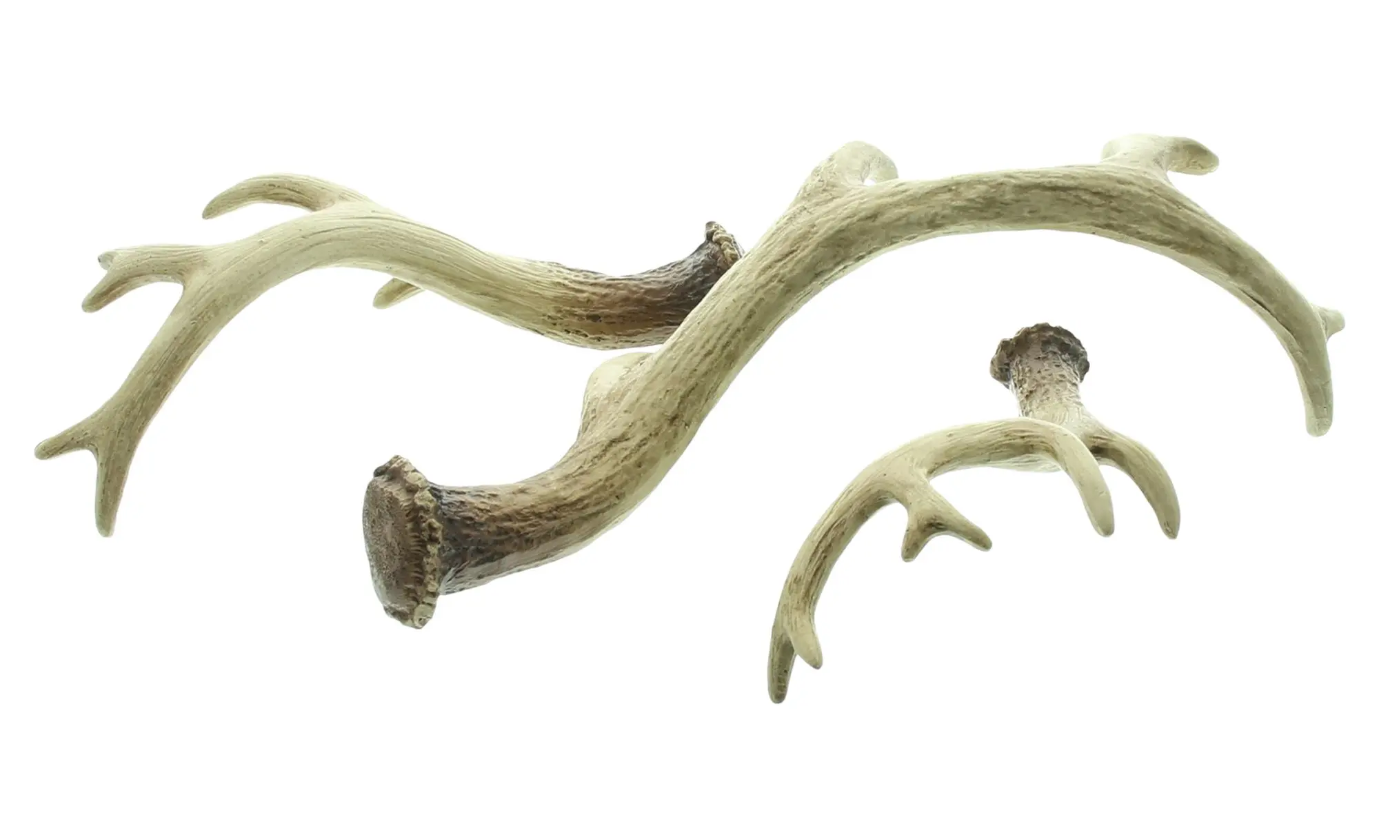 Deko-Geweih "Nature", 3er Set  im Frank Flechtwaren Online Shop für Waldspaziergang kaufen