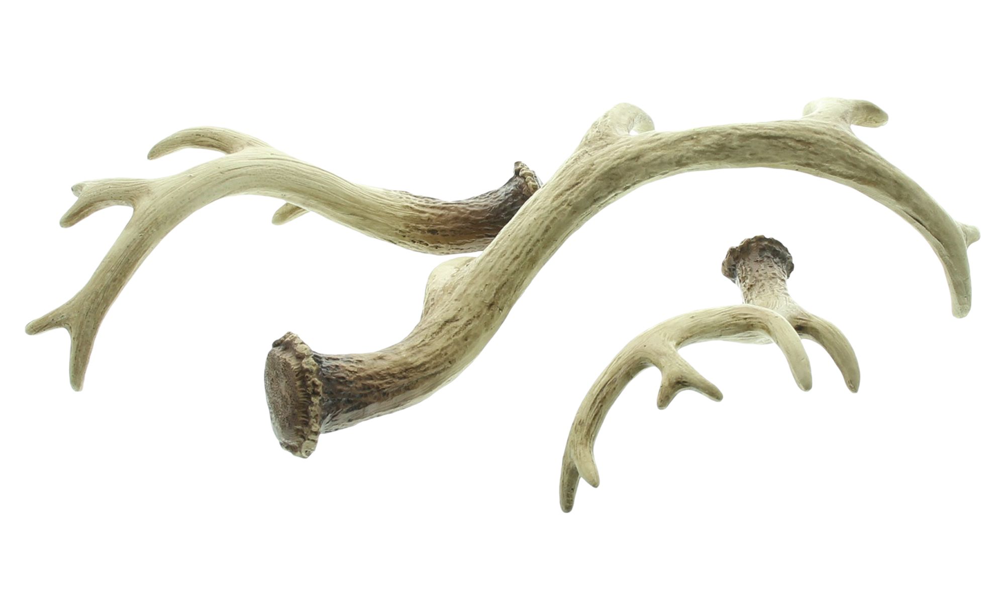 Deko-Geweih "Nature", 3er Set  im Frank Flechtwaren Online Shop für Waldspaziergang kaufen
