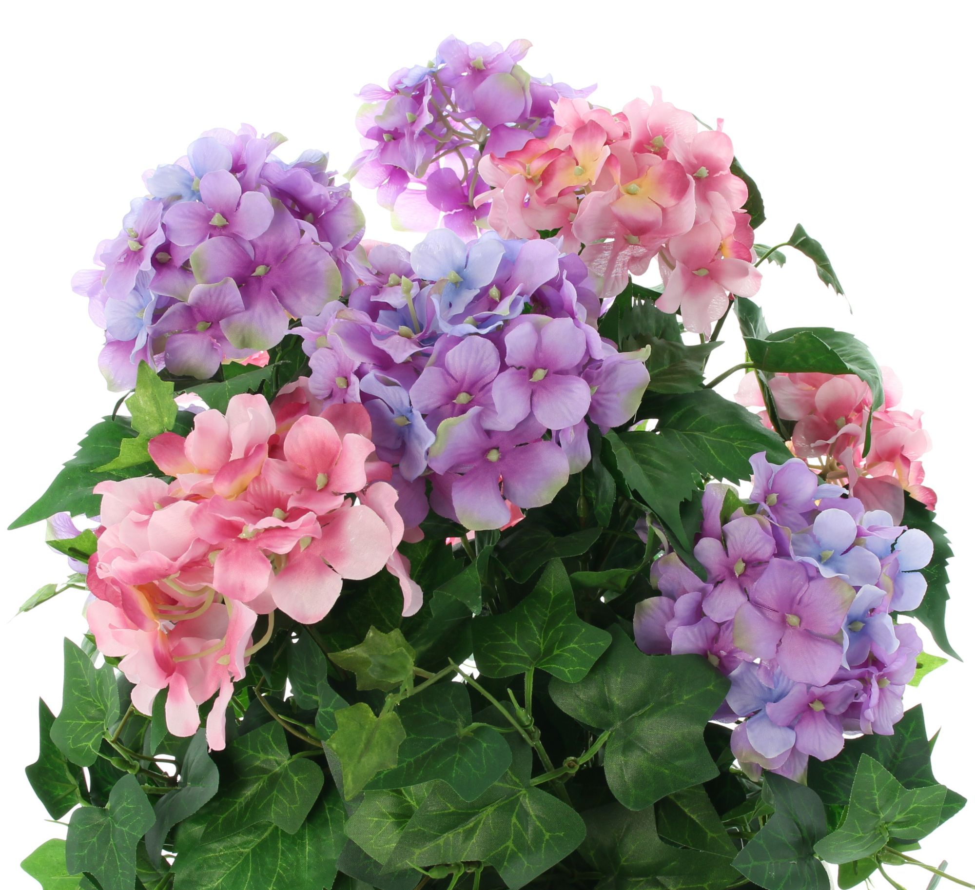 Acheter Hortensias en pot  dans la boutique en ligne de Frank Flechtwaren pour Plantes artificielles