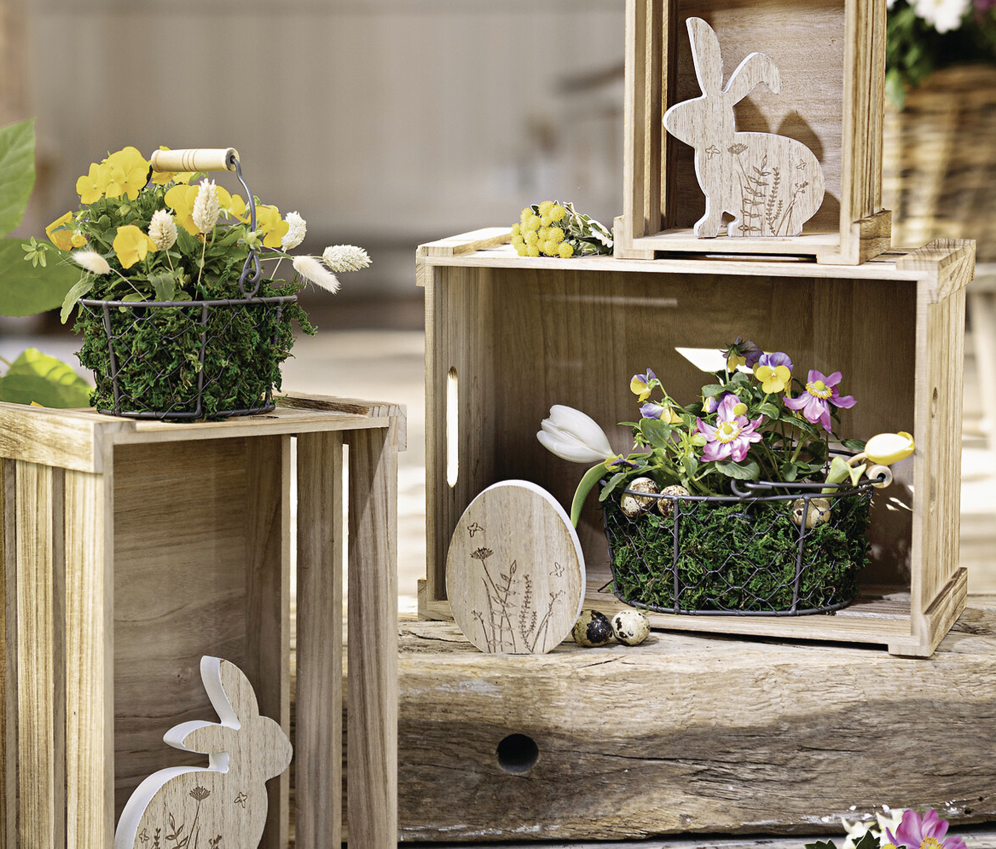 Drahtkörbchen "Petit", 2er Set  im Frank Flechtwaren Online Shop für  kaufen