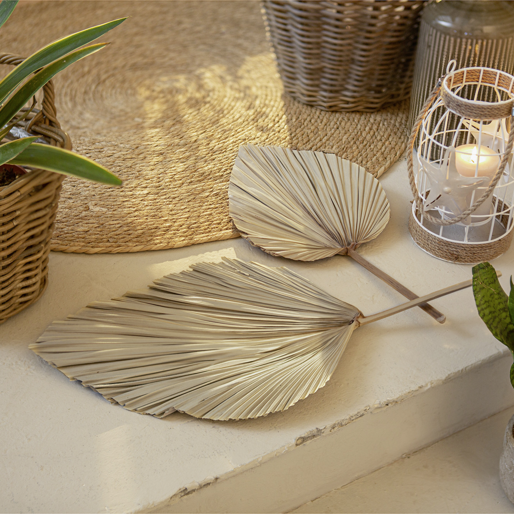 Dekoblatt "Palme", 2er Set  im Frank Flechtwaren Online Shop kaufen