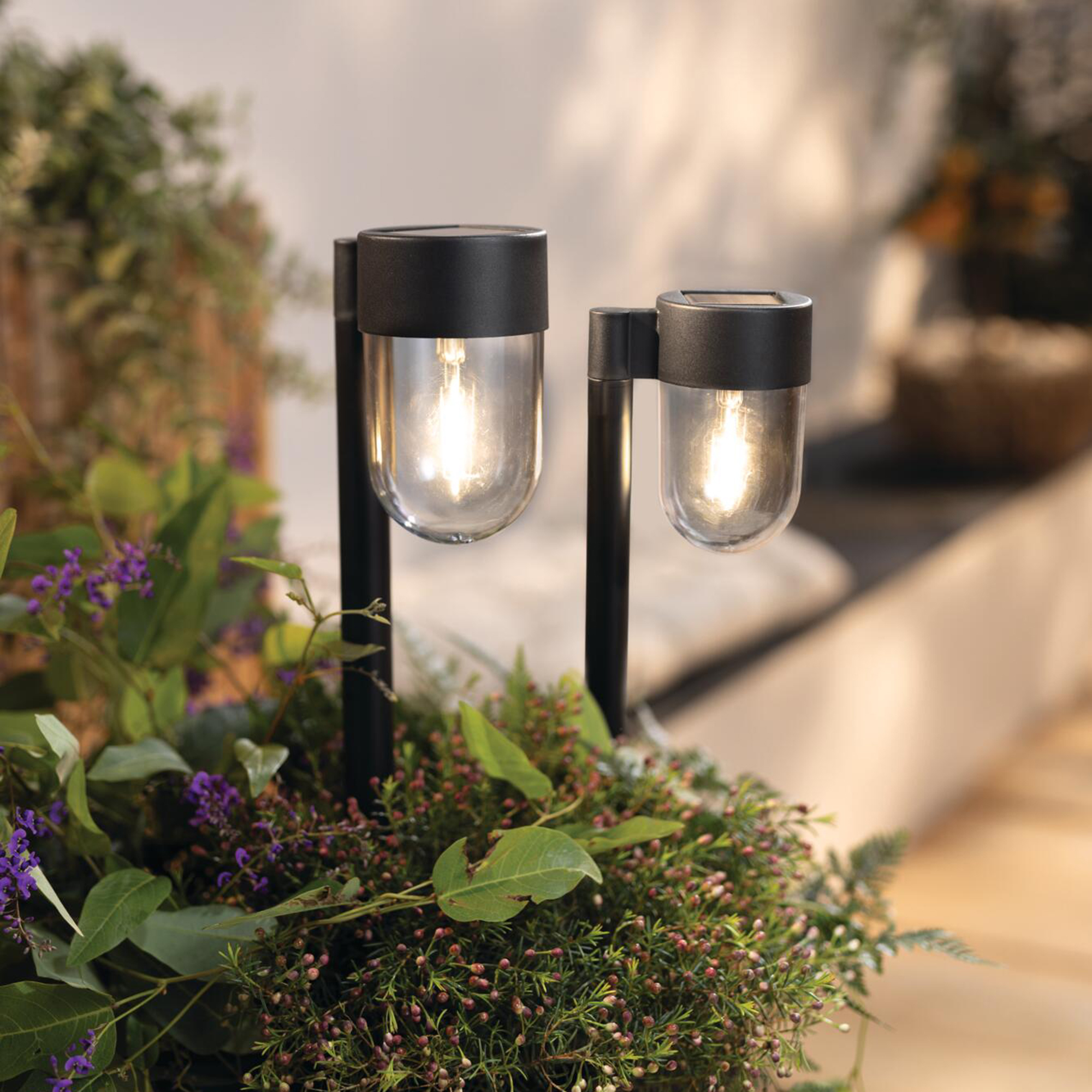 LED-Solarstecker "Wegleuchte", 2er Set  im Frank Flechtwaren Online Shop kaufen