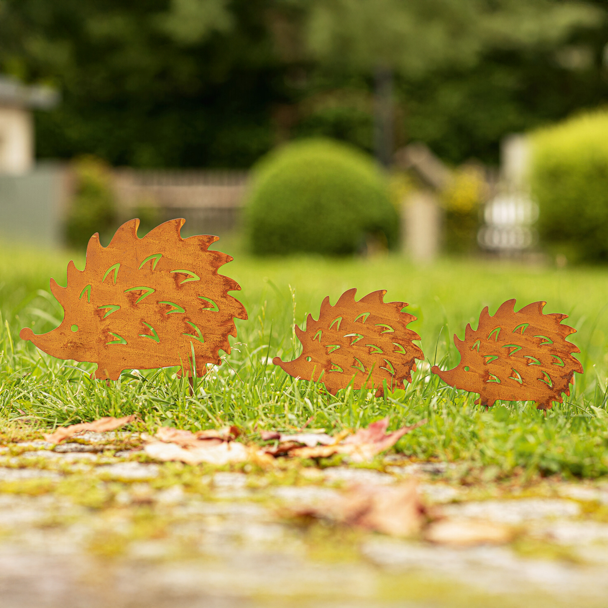 Gartenstecker "Igel", 3er Set  im Frank Flechtwaren Online Shop kaufen