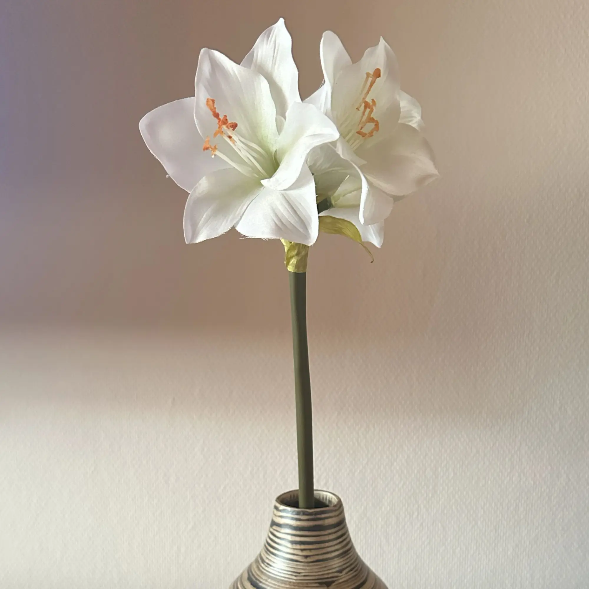 Kunstblume "Amaryllis", creme  im Frank Flechtwaren Online Shop kaufen