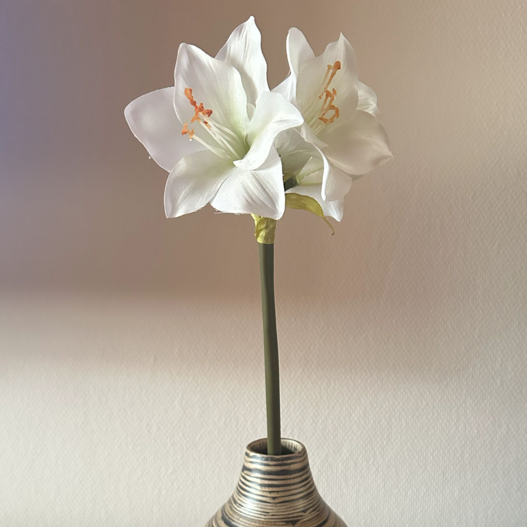 Kunstblume "Amaryllis", creme  im Frank Flechtwaren Online Shop kaufen