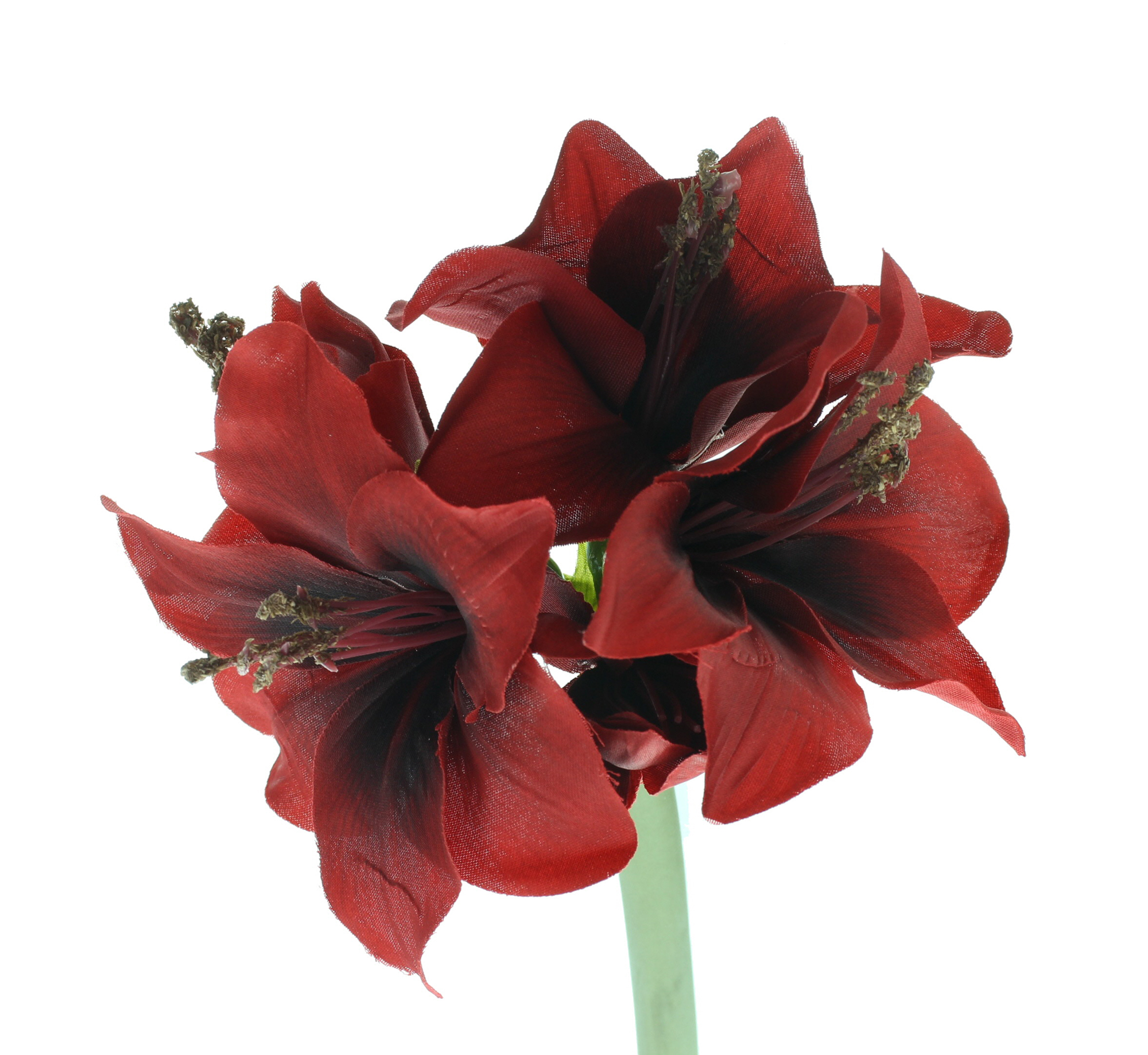 Kunstblume "Amaryllis", rot  im Frank Flechtwaren Online Shop für Kunstpflanzen kaufen