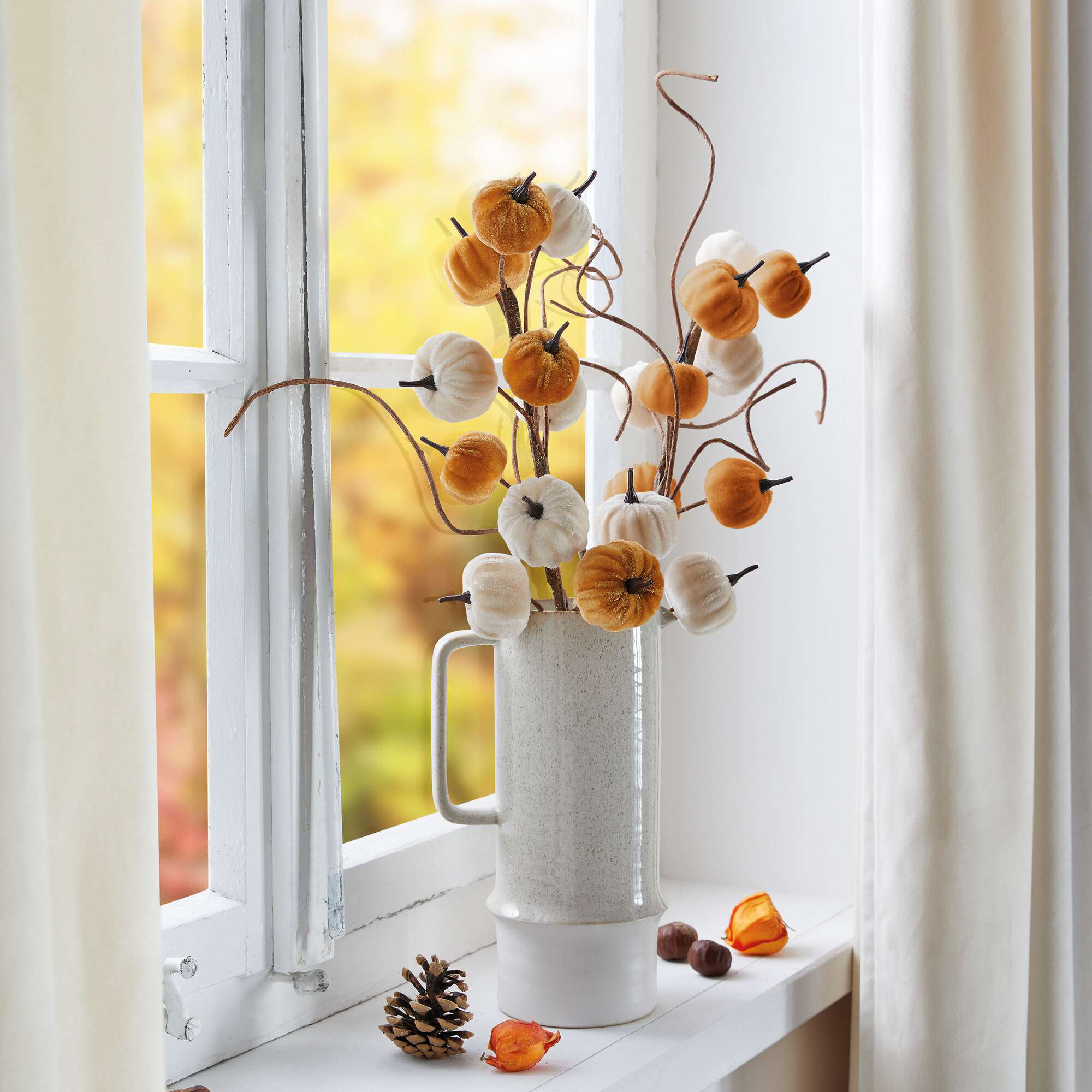 Zweig "Kürbisse", 2er Set im Frank Flechtwaren Online Shop für Herbst kaufen Zweig "Kürbisse", 2er Set im Frank Flechtwaren Online Shop für Herbst kaufen